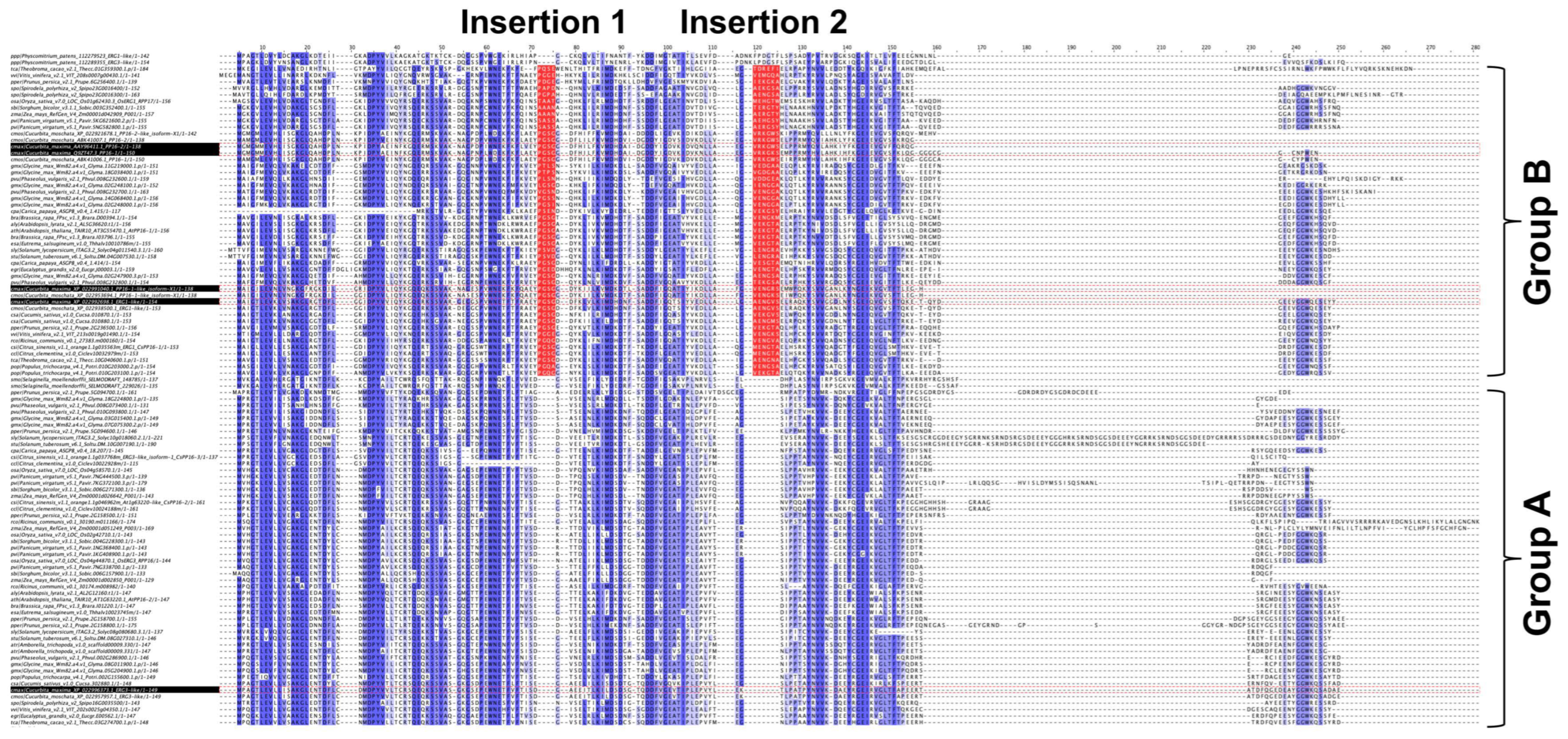 Ijms 25 02839 g003 Ijms 25 02839 g003
