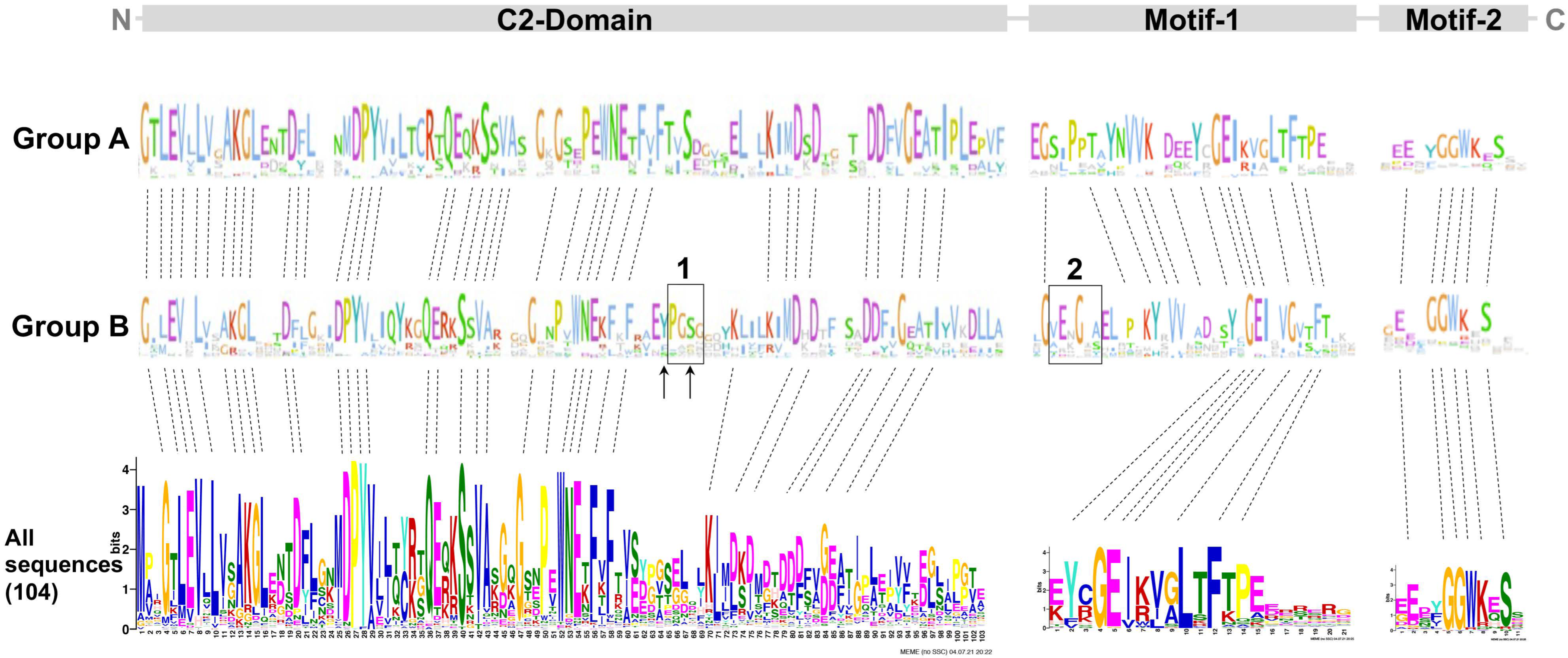 Ijms 25 02839 g005 Ijms 25 02839 g005