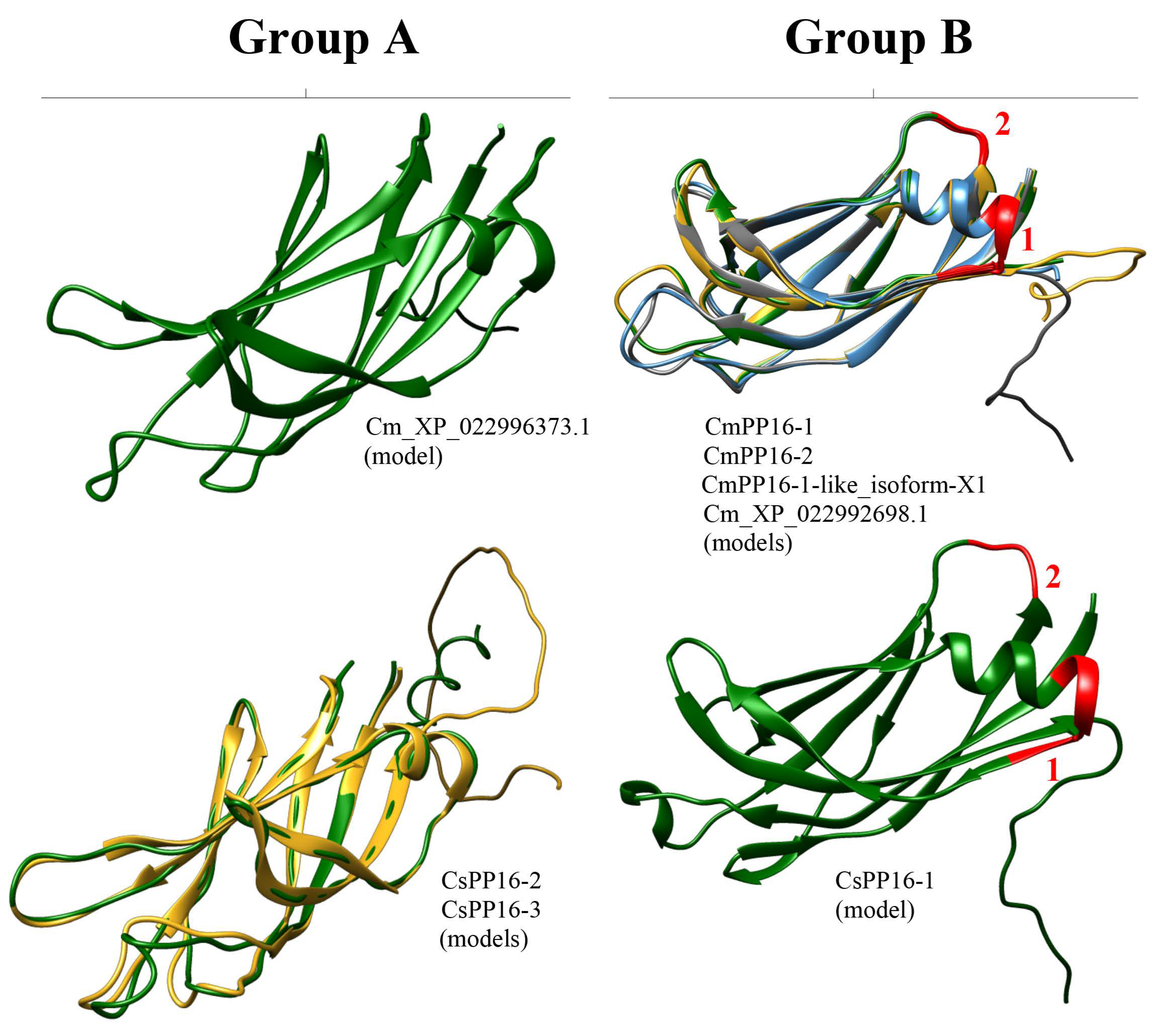 Ijms 25 02839 g006 Ijms 25 02839 g006