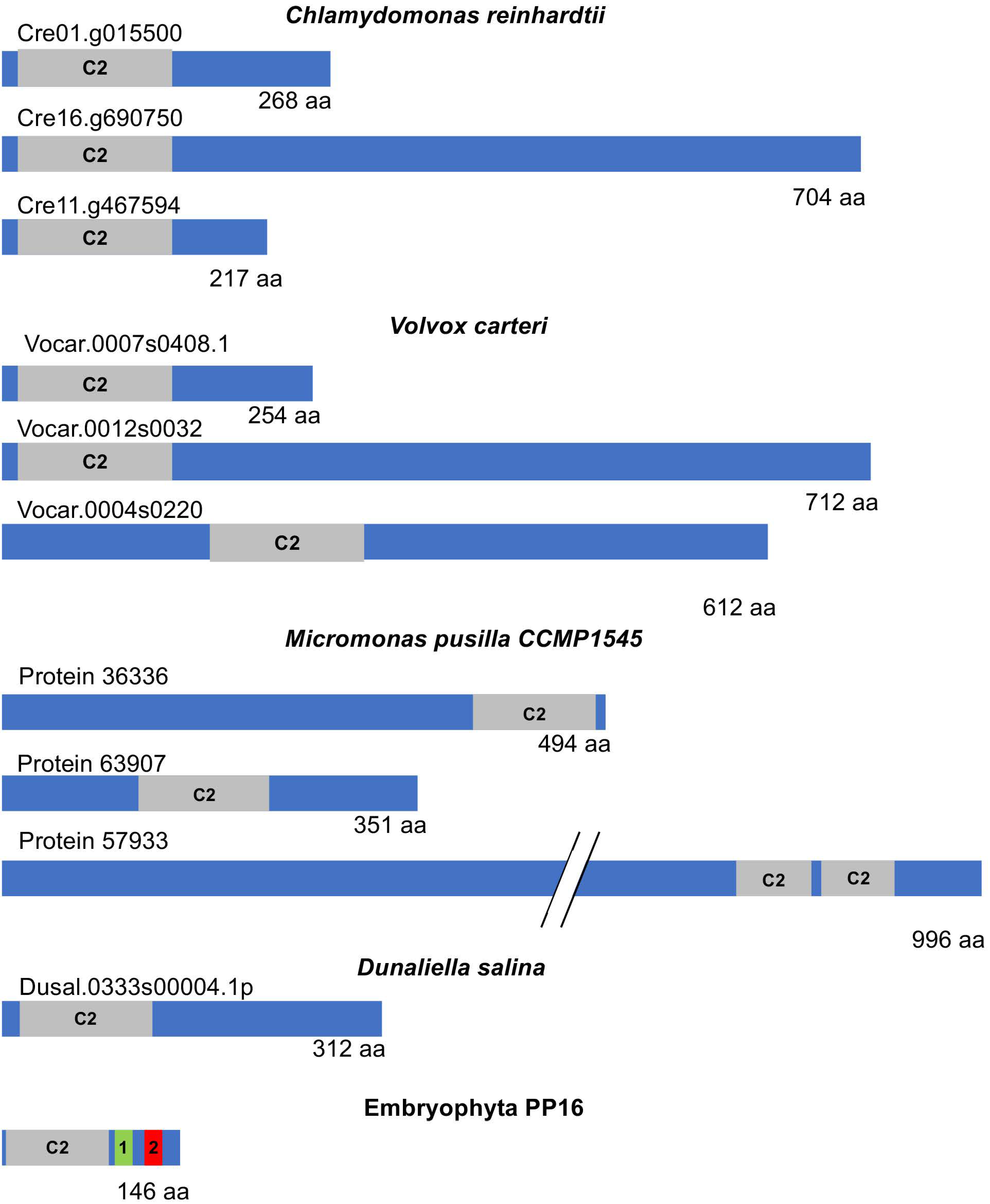 Ijms 25 02839 g007 Ijms 25 02839 g007