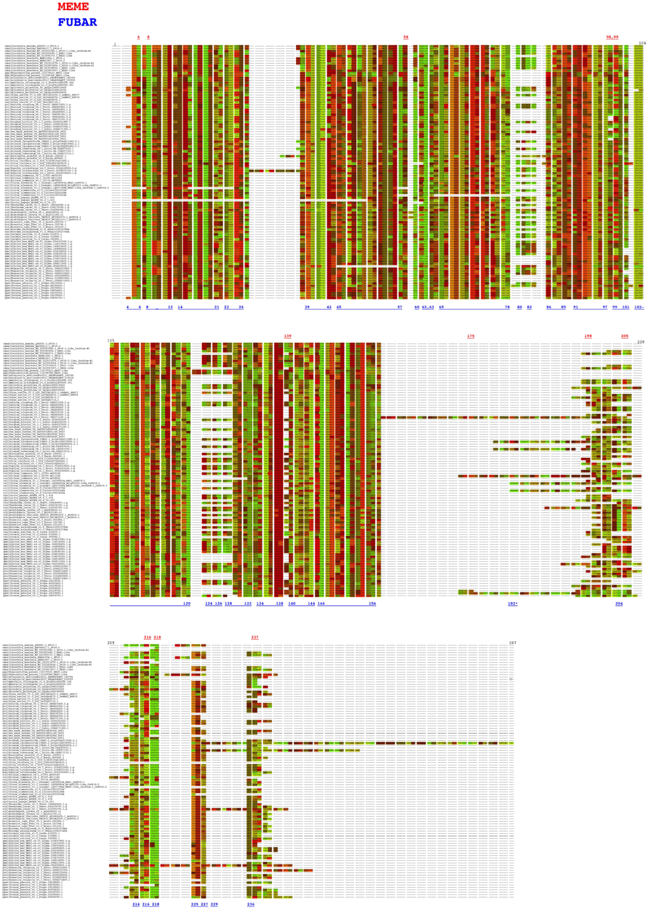 Ijms 25 02839 g008 Ijms 25 02839 g008