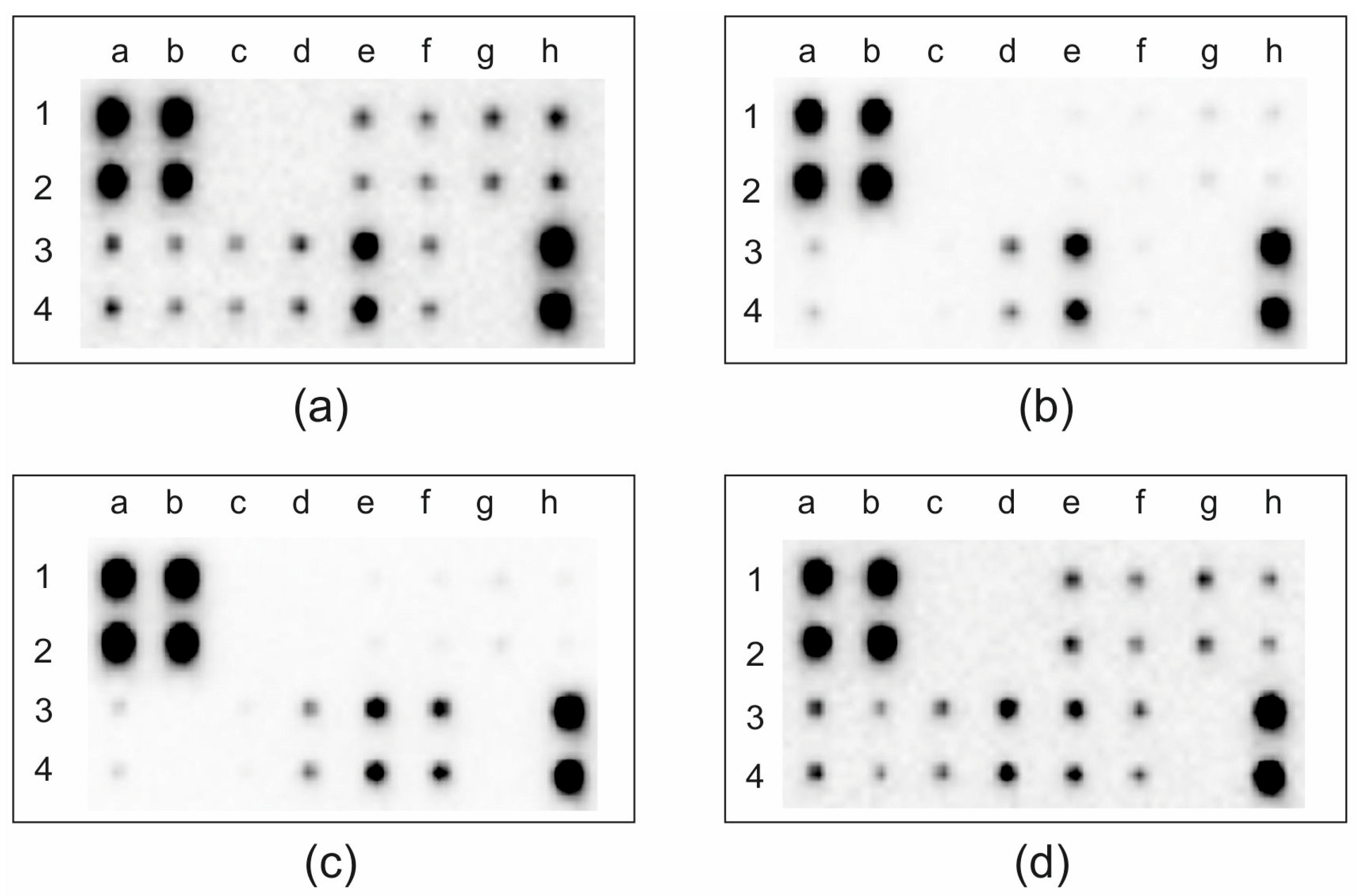 Ijms 25 02858 g004 Ijms 25 02858 g004