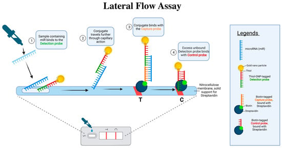 Clinical Insights into MicroRNAs in Depression: Bridging Molecular ...