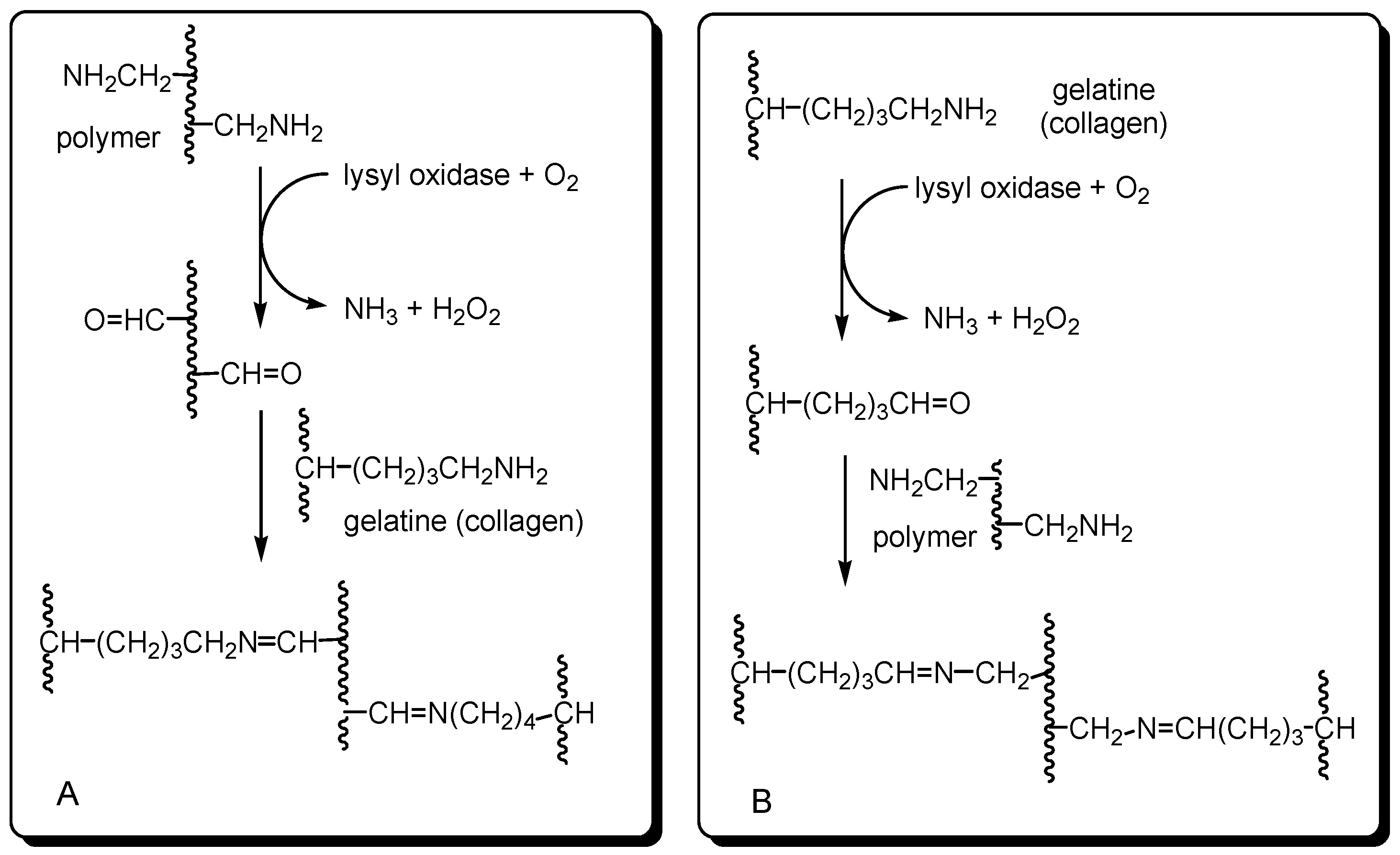 Ijms 25 02897 sch002