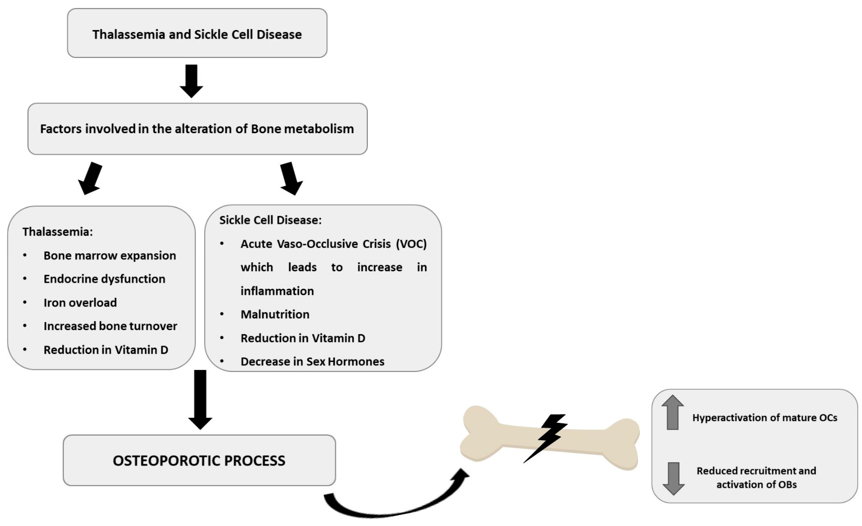 Ijms 25 02902 g001 Ijms 25 02902 g001