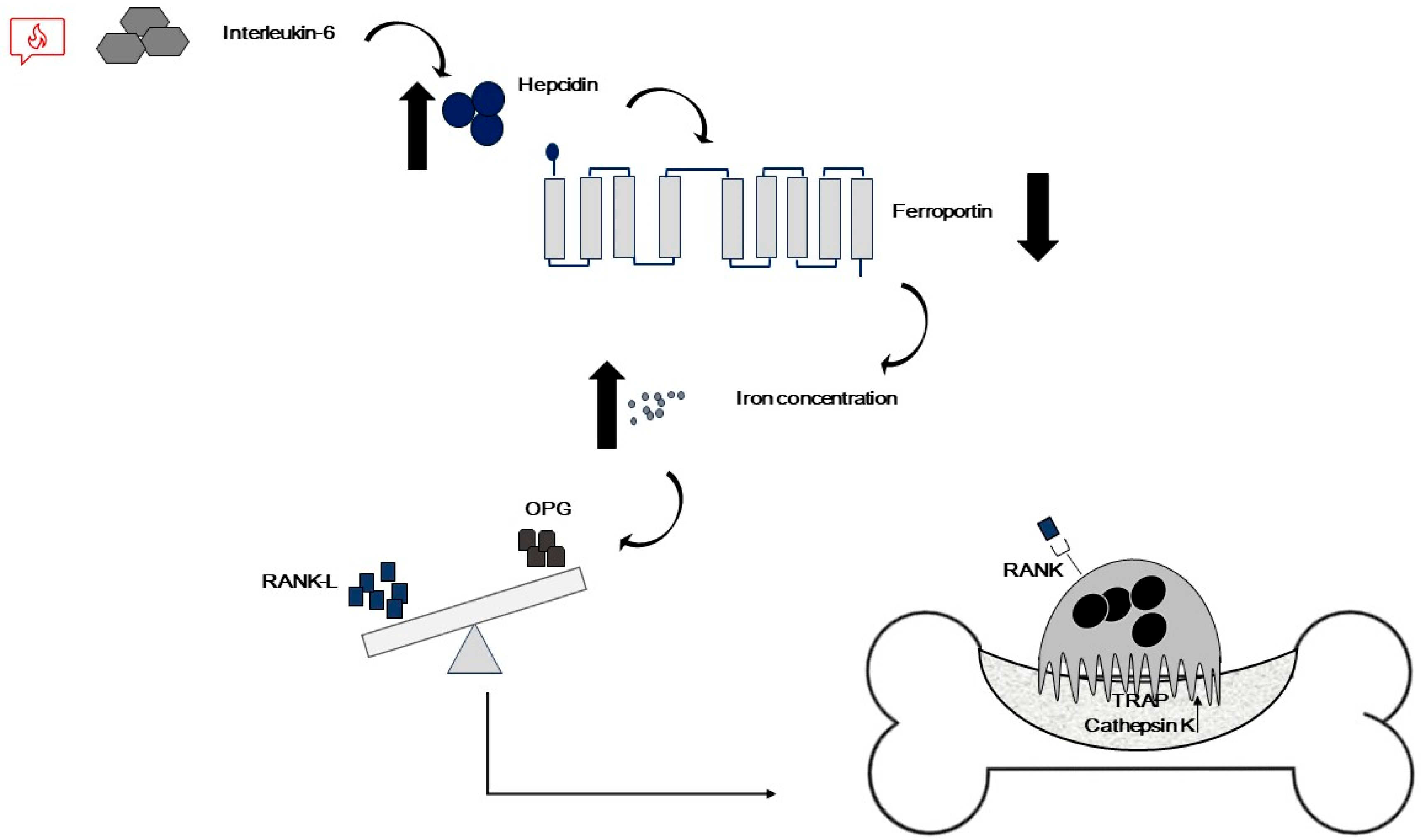 Ijms 25 02902 g003 Ijms 25 02902 g003