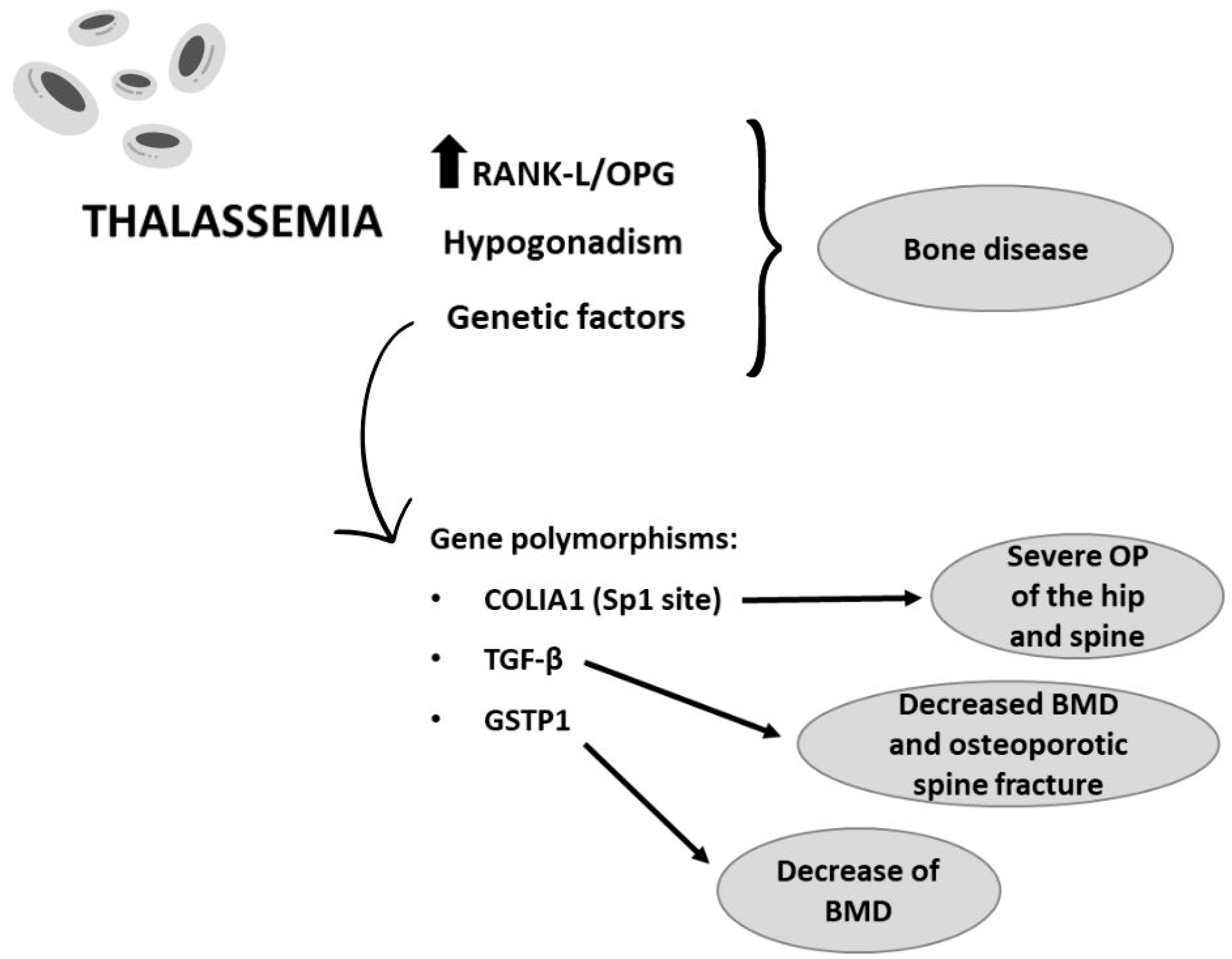 Ijms 25 02902 g004 Ijms 25 02902 g004
