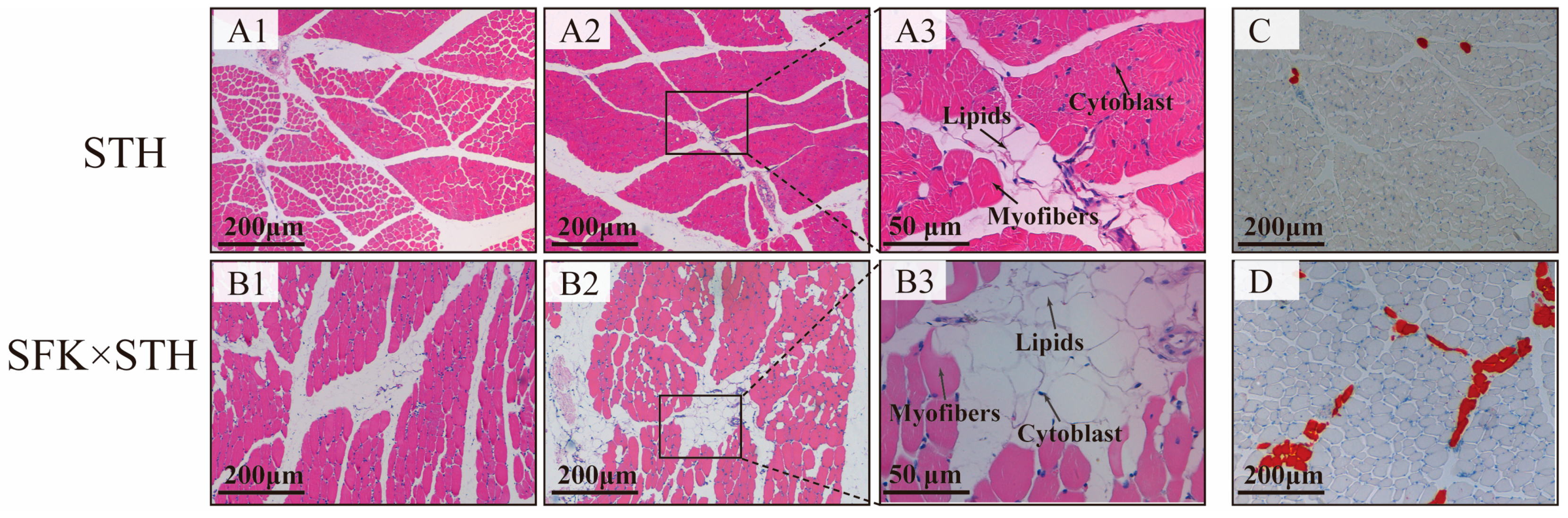 Ijms 25 02951 g001