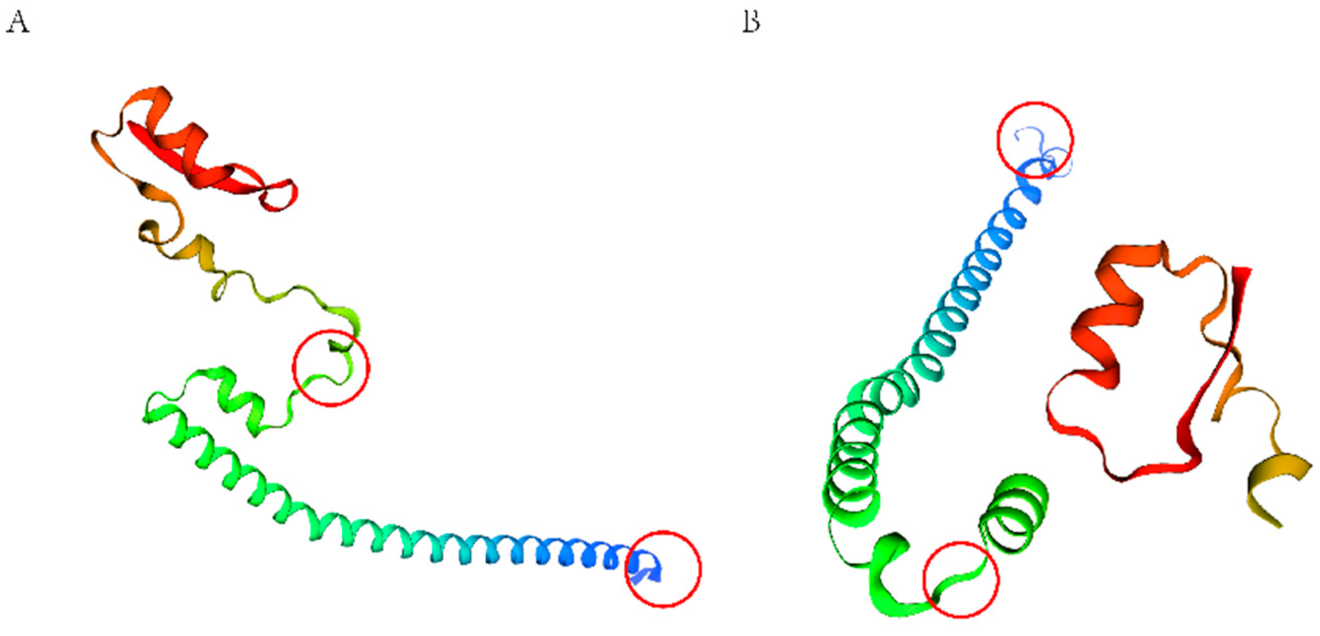 Ijms 25 02951 g010
