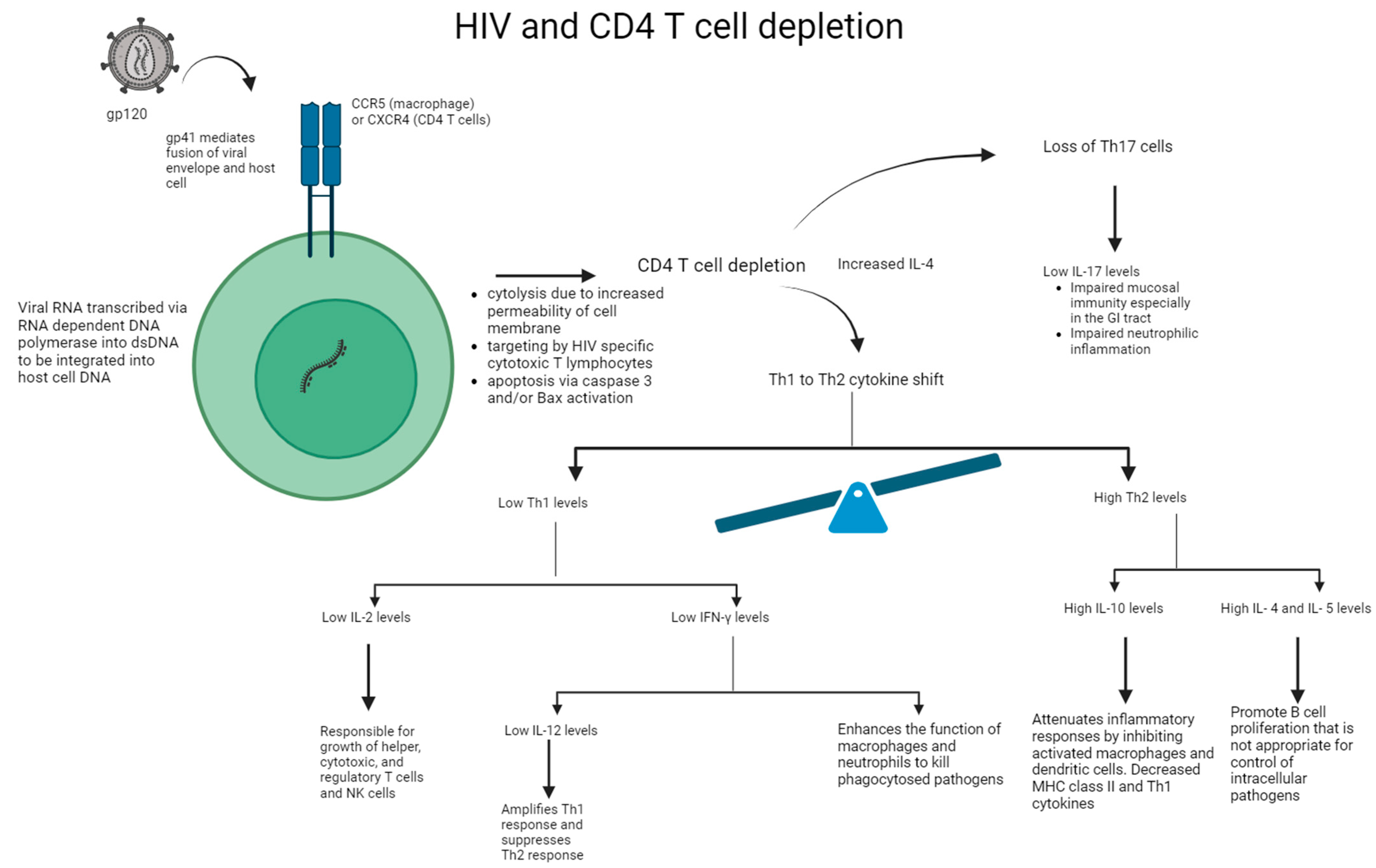 Ijms 25 02952 g002 Ijms 25 02952 g002