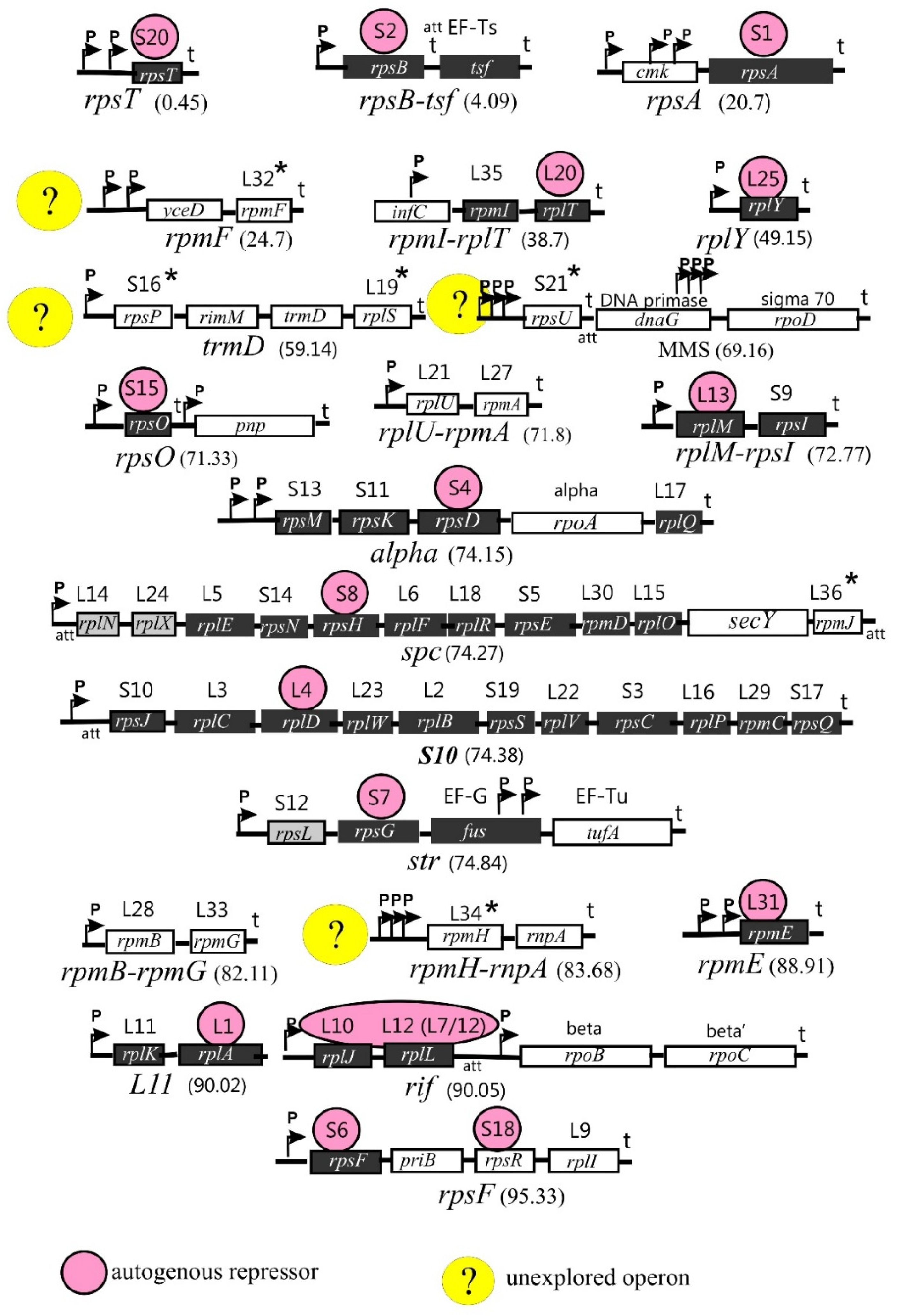 Ijms 25 02957 g001 Ijms 25 02957 g001