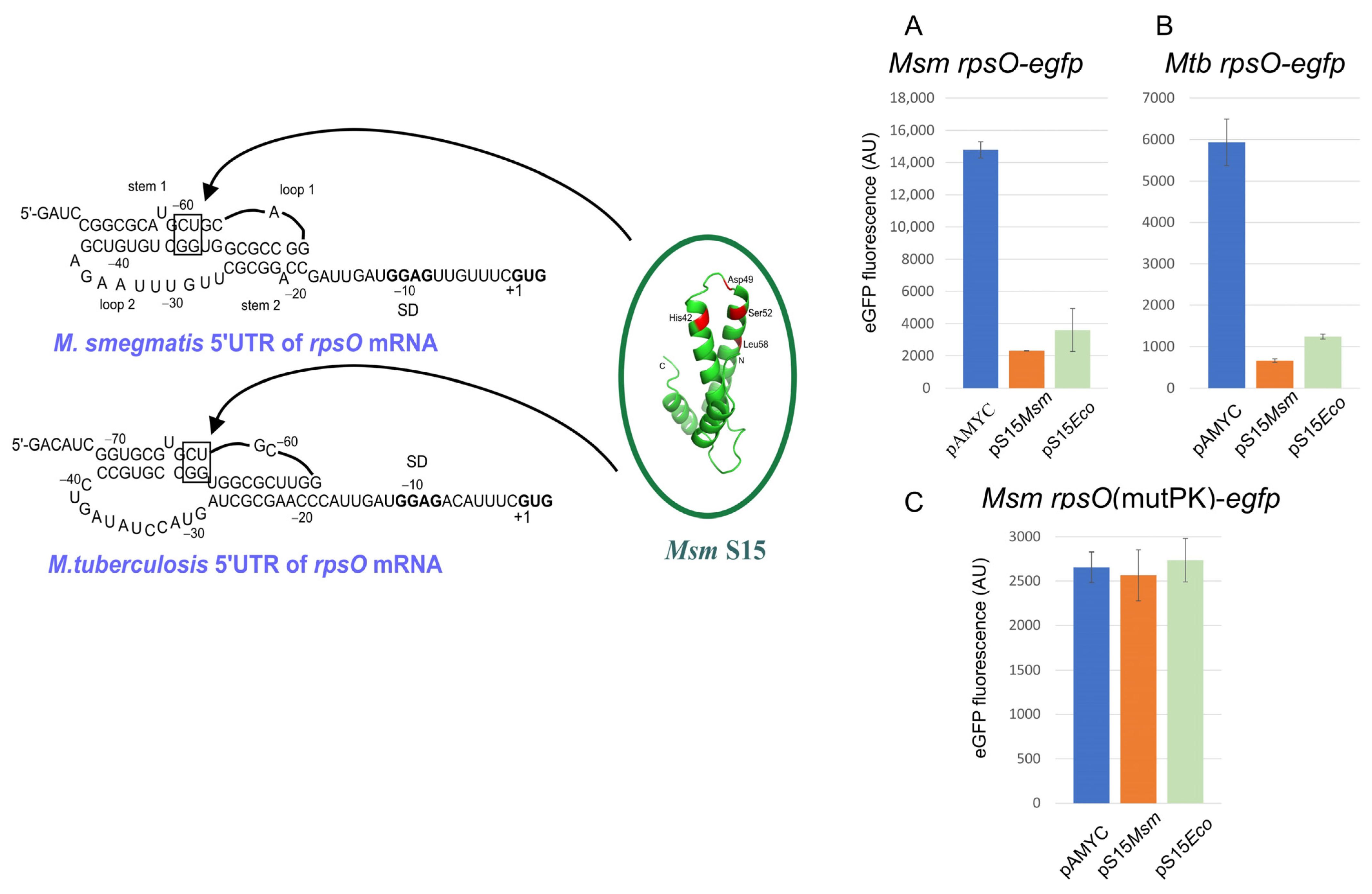 Ijms 25 02957 g004 Ijms 25 02957 g004