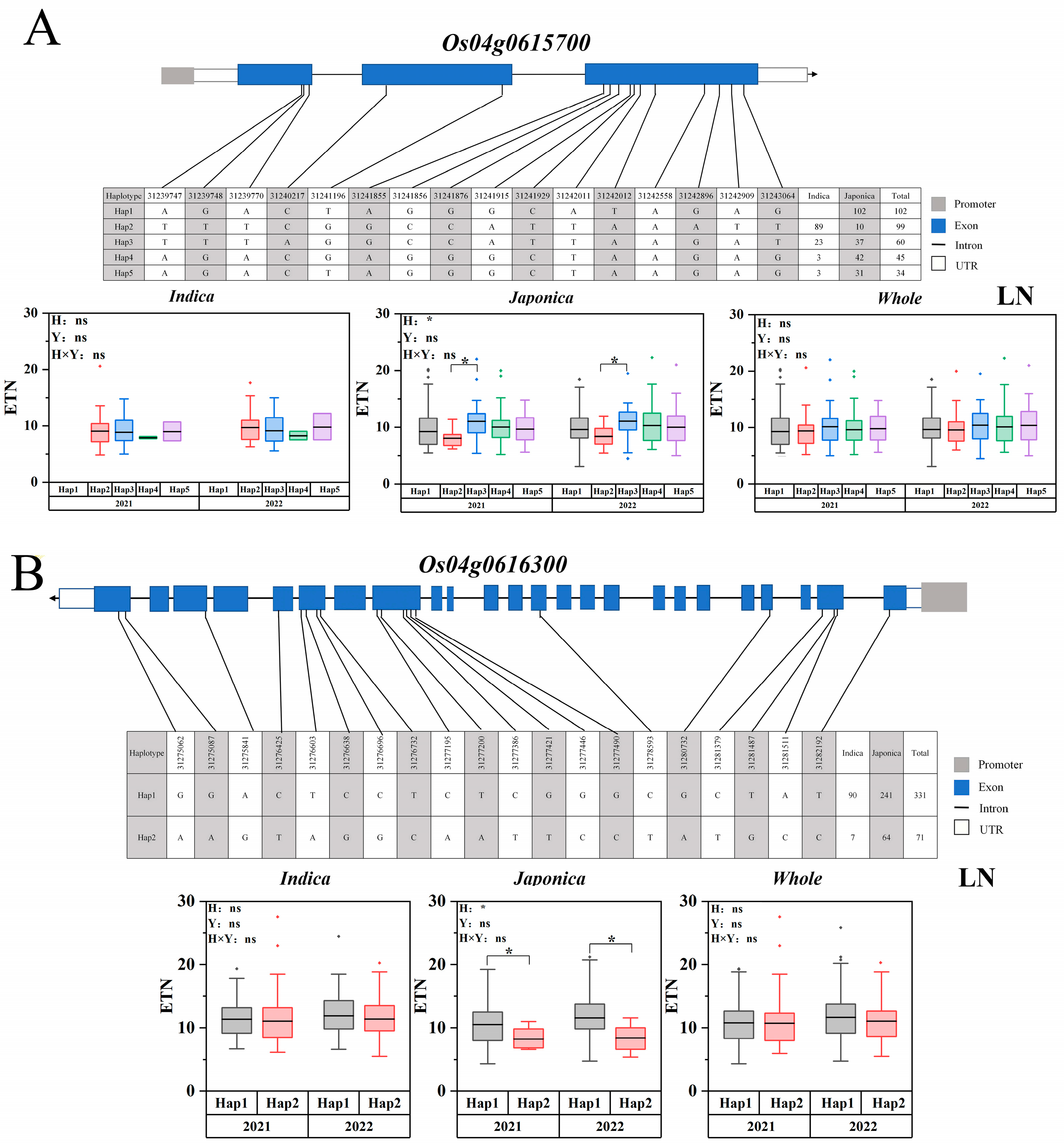 Ijms 25 02969 g007 Ijms 25 02969 g007
