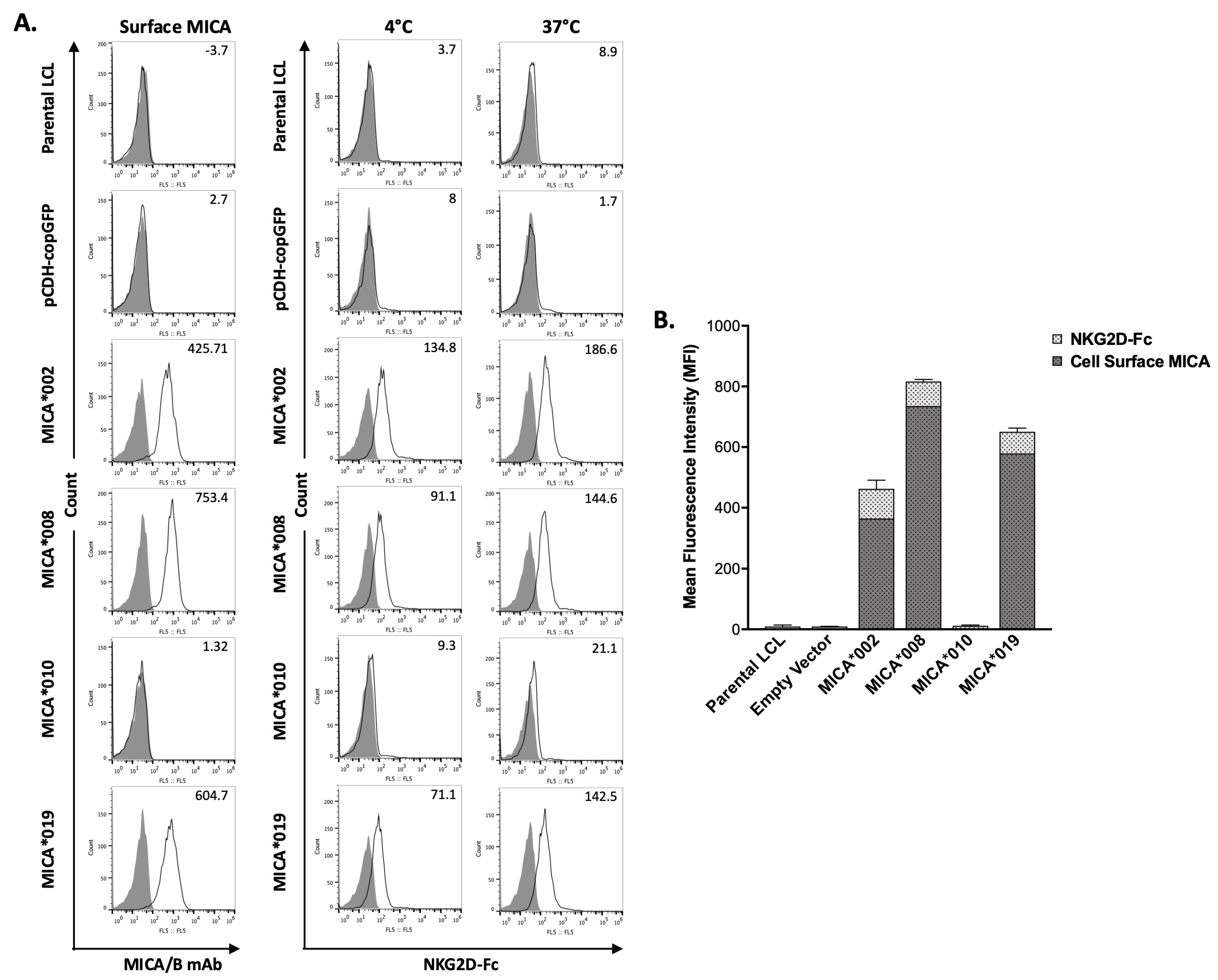 Ijms 25 03036 g002 Ijms 25 03036 g002