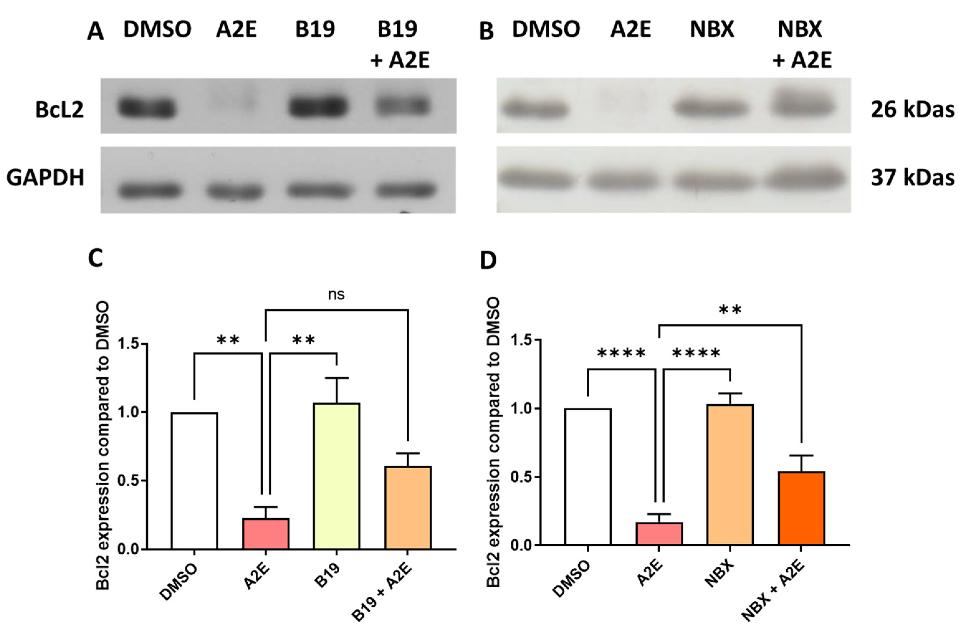 Ijms 25 03037 g003 Ijms 25 03037 g003