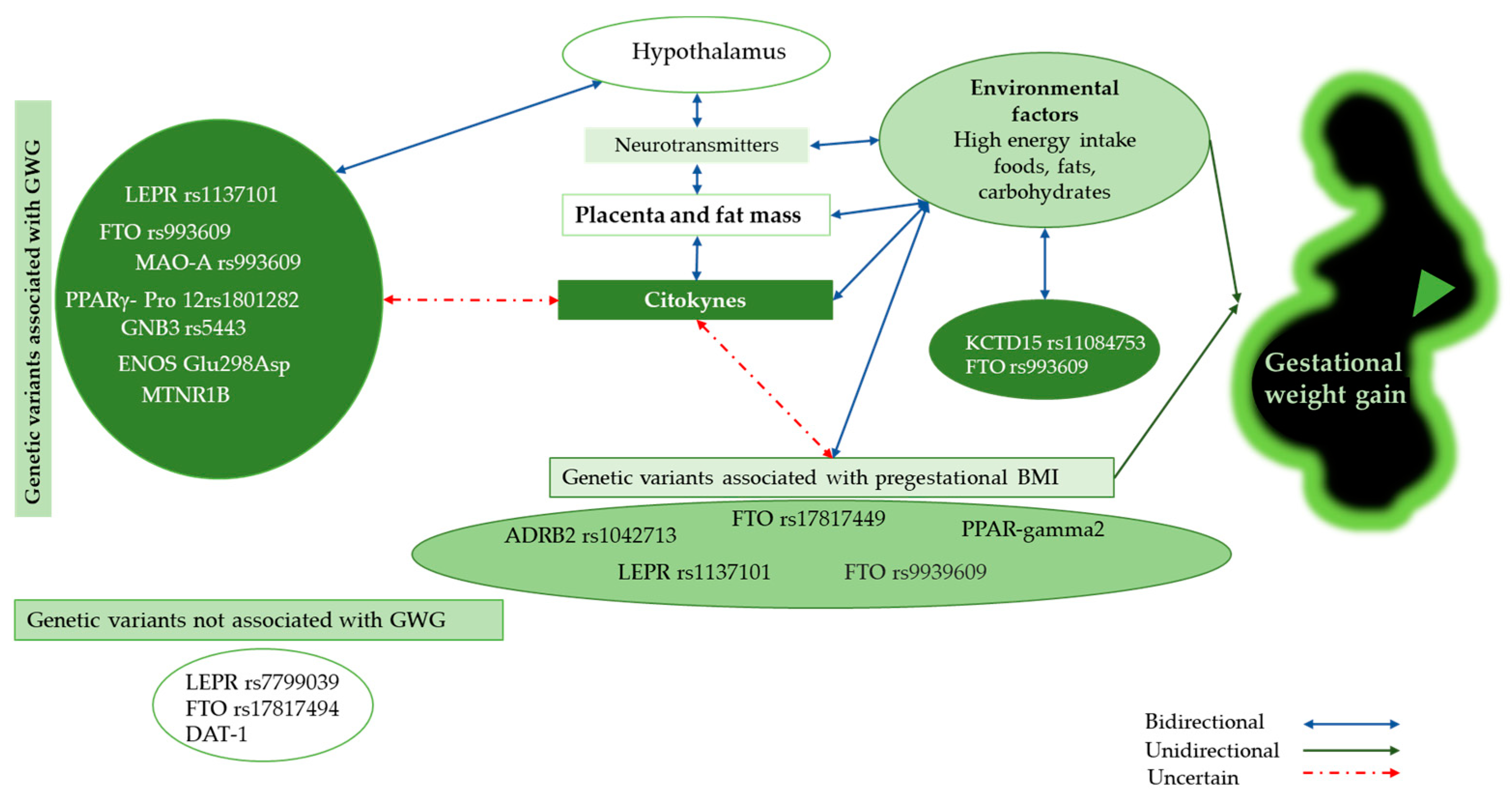 Ijms 25 03039 g001 Ijms 25 03039 g001