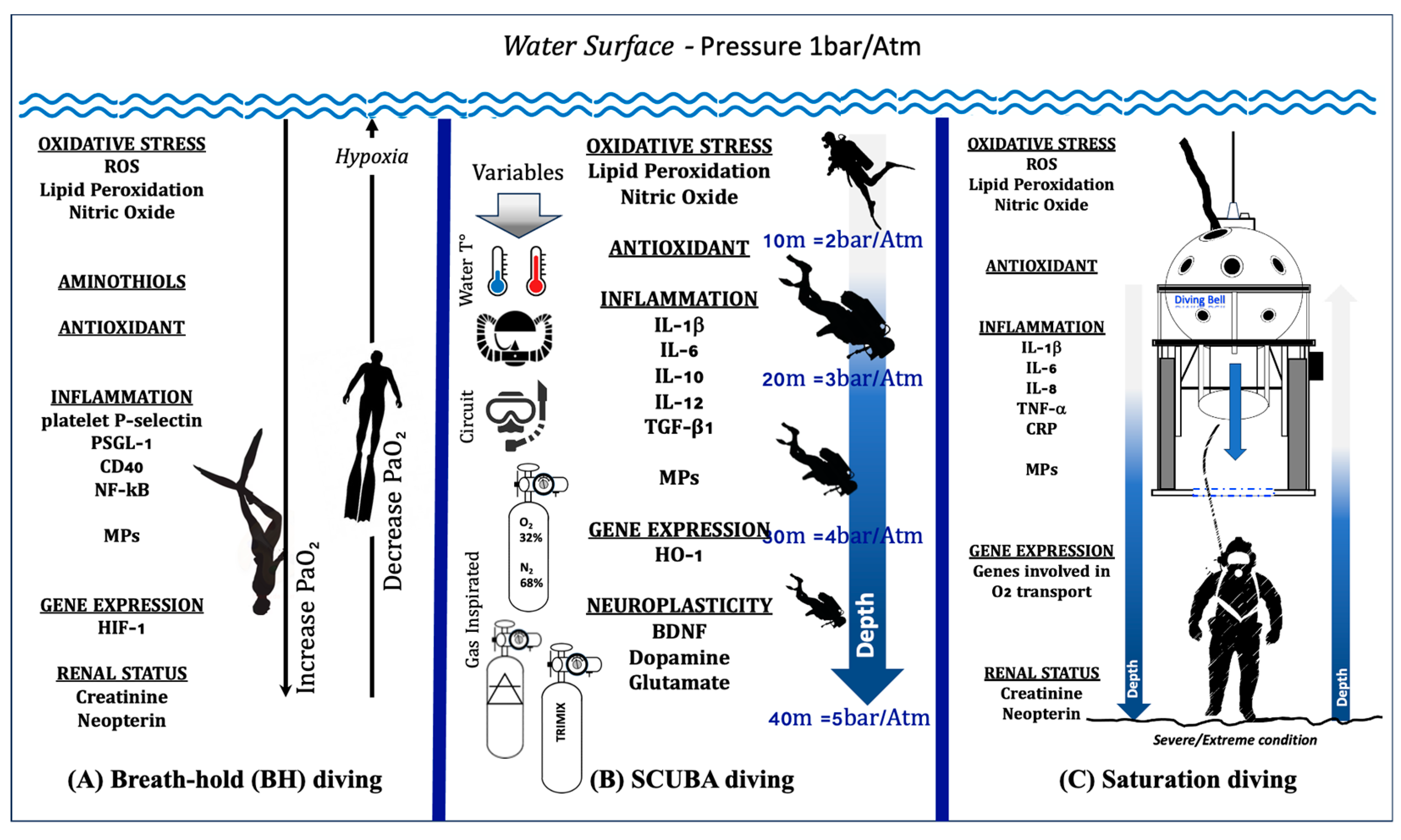 Ijms 25 03060 g002 Ijms 25 03060 g002