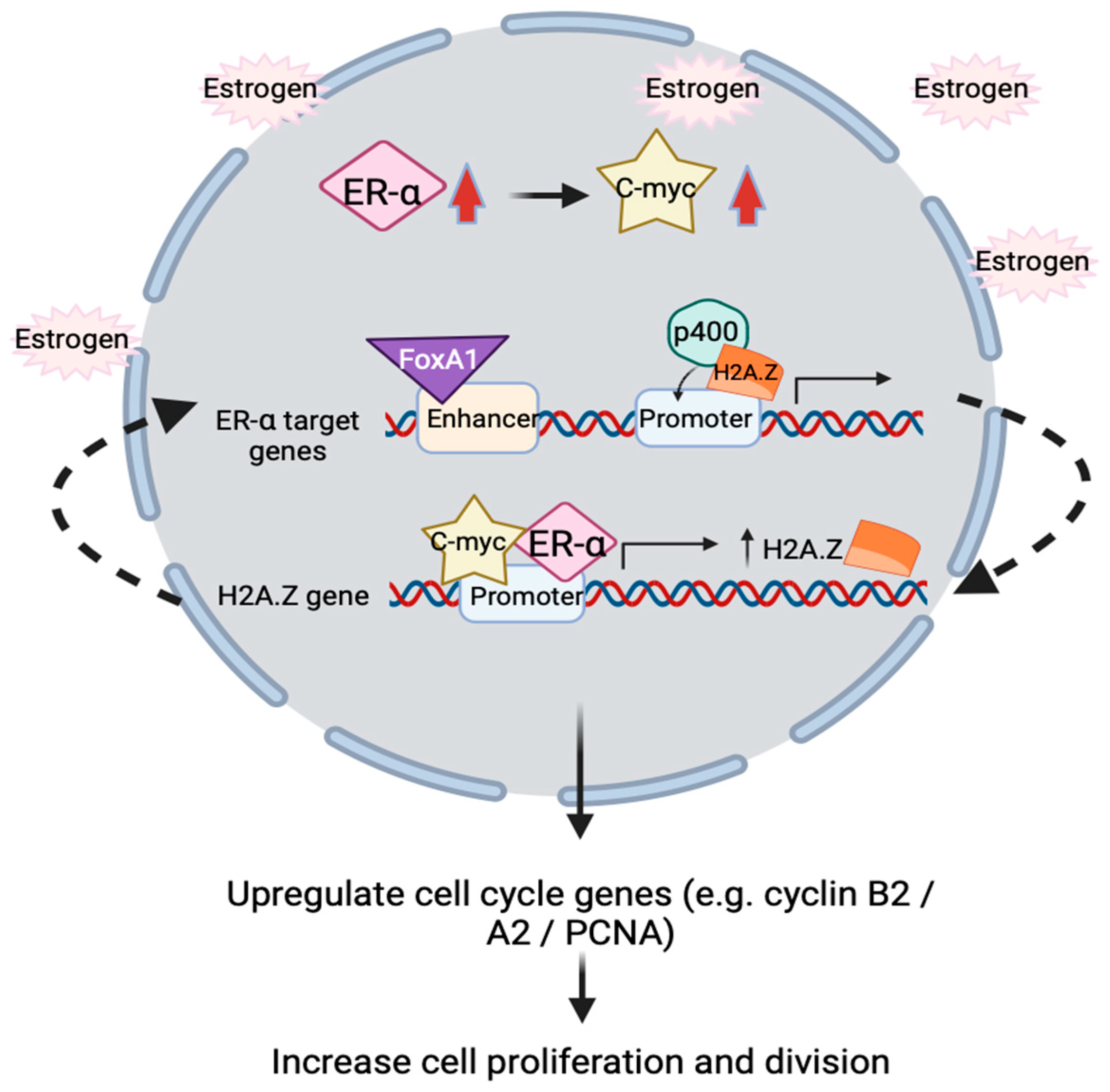 Ijms 25 03144 g003 Ijms 25 03144 g003
