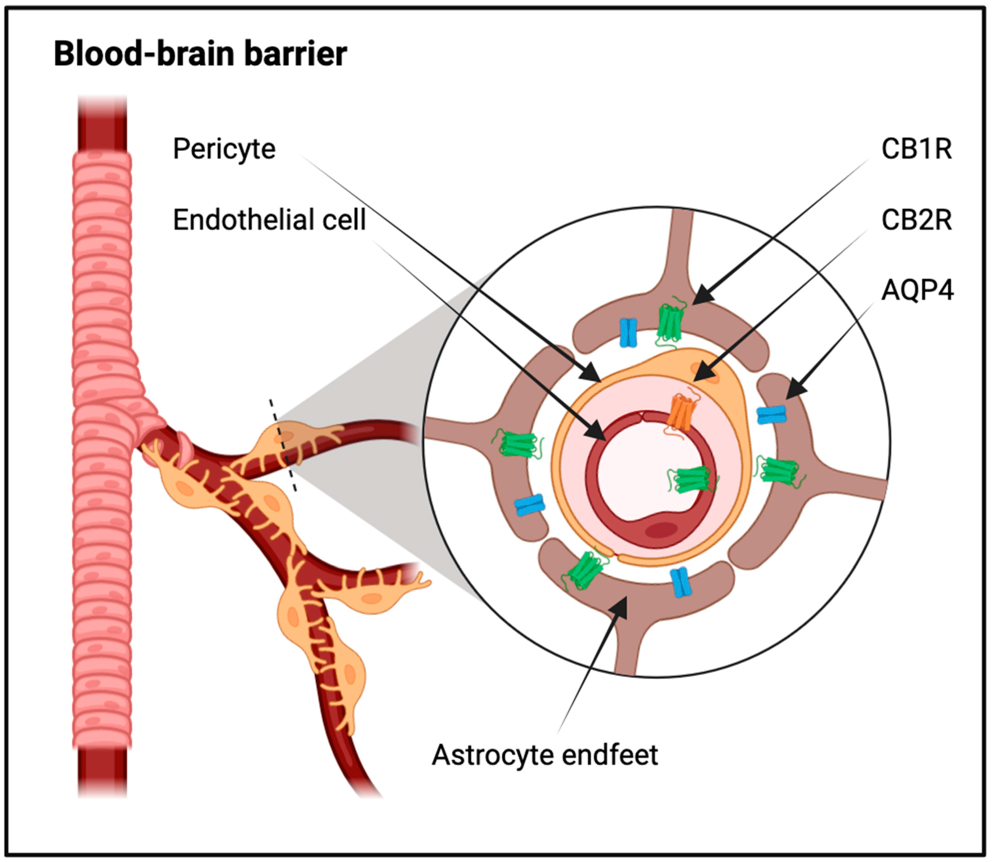 Ijms 25 03160 g002 Ijms 25 03160 g002