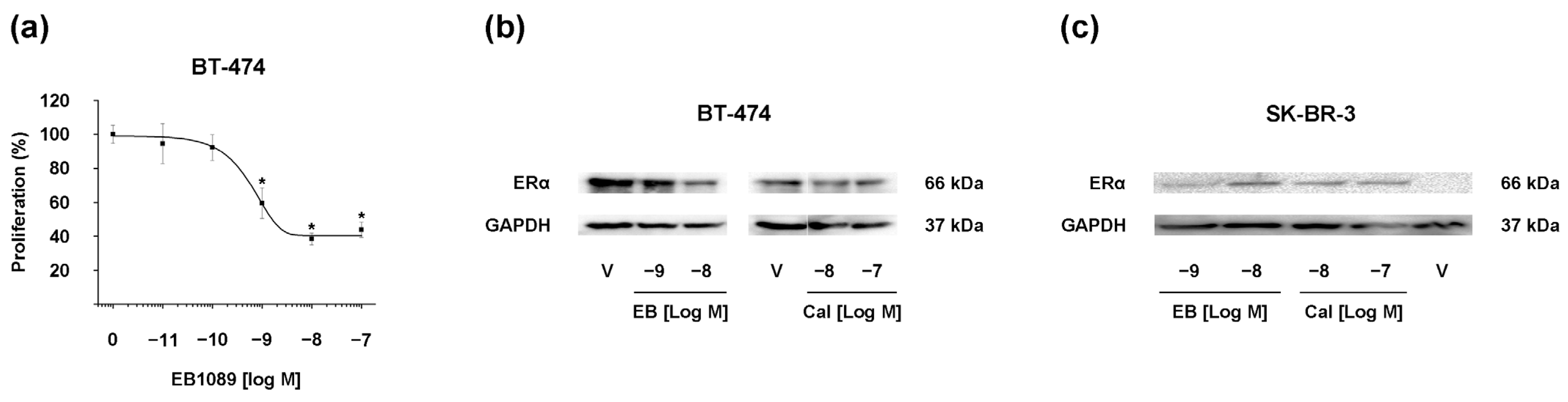 Ijms 25 03165 g001 Ijms 25 03165 g001