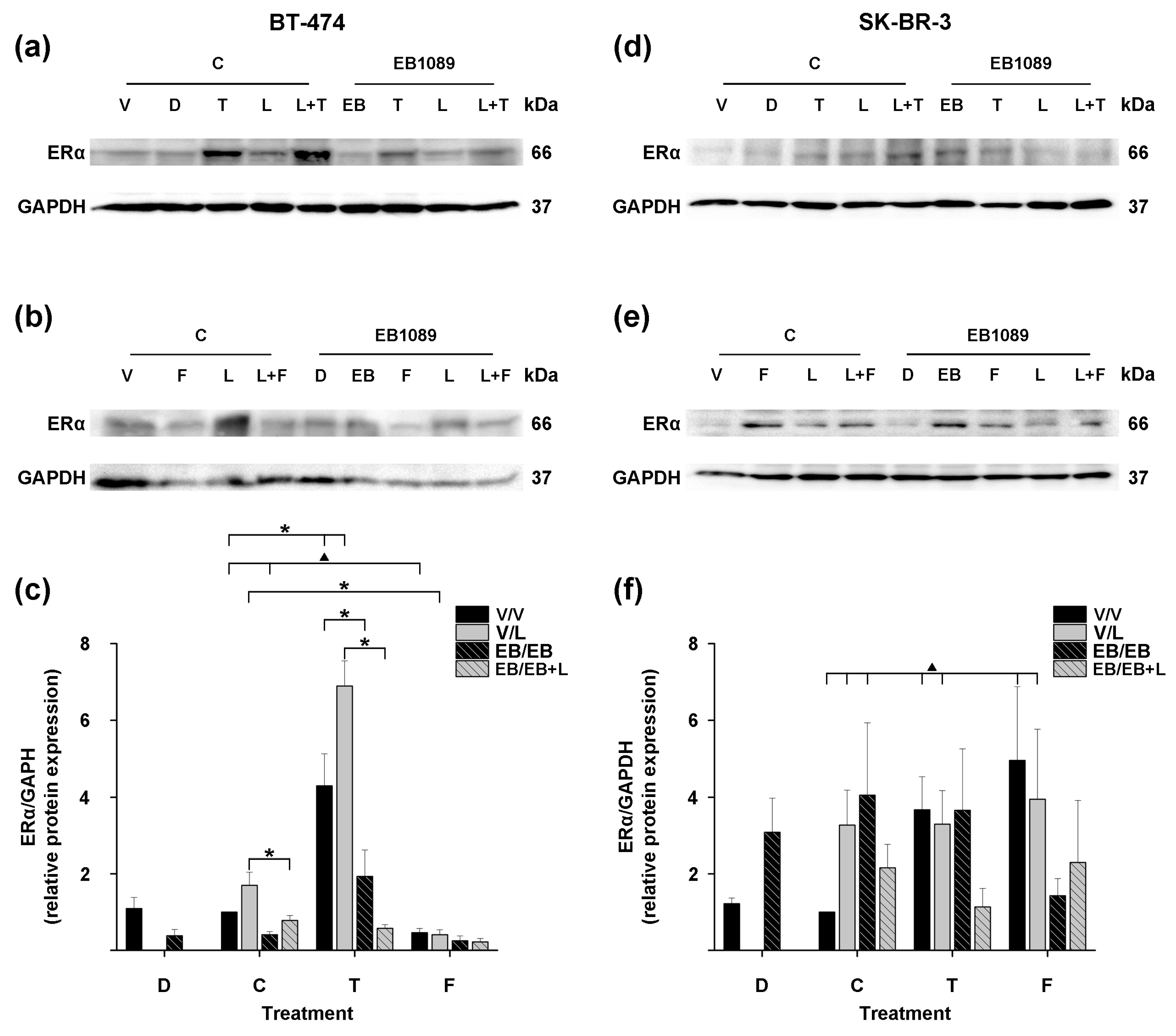 Ijms 25 03165 g004 Ijms 25 03165 g004