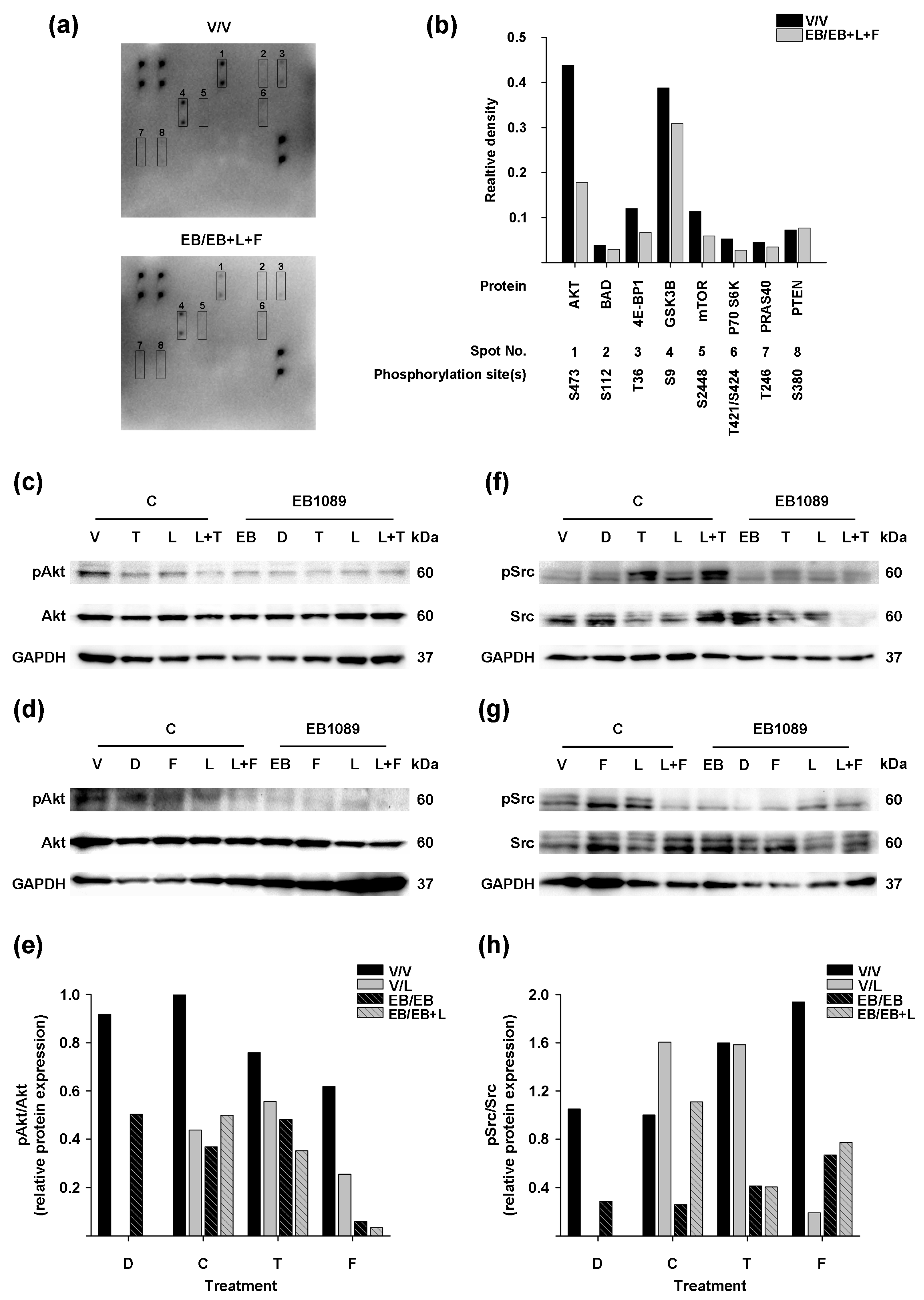 Ijms 25 03165 g005 Ijms 25 03165 g005