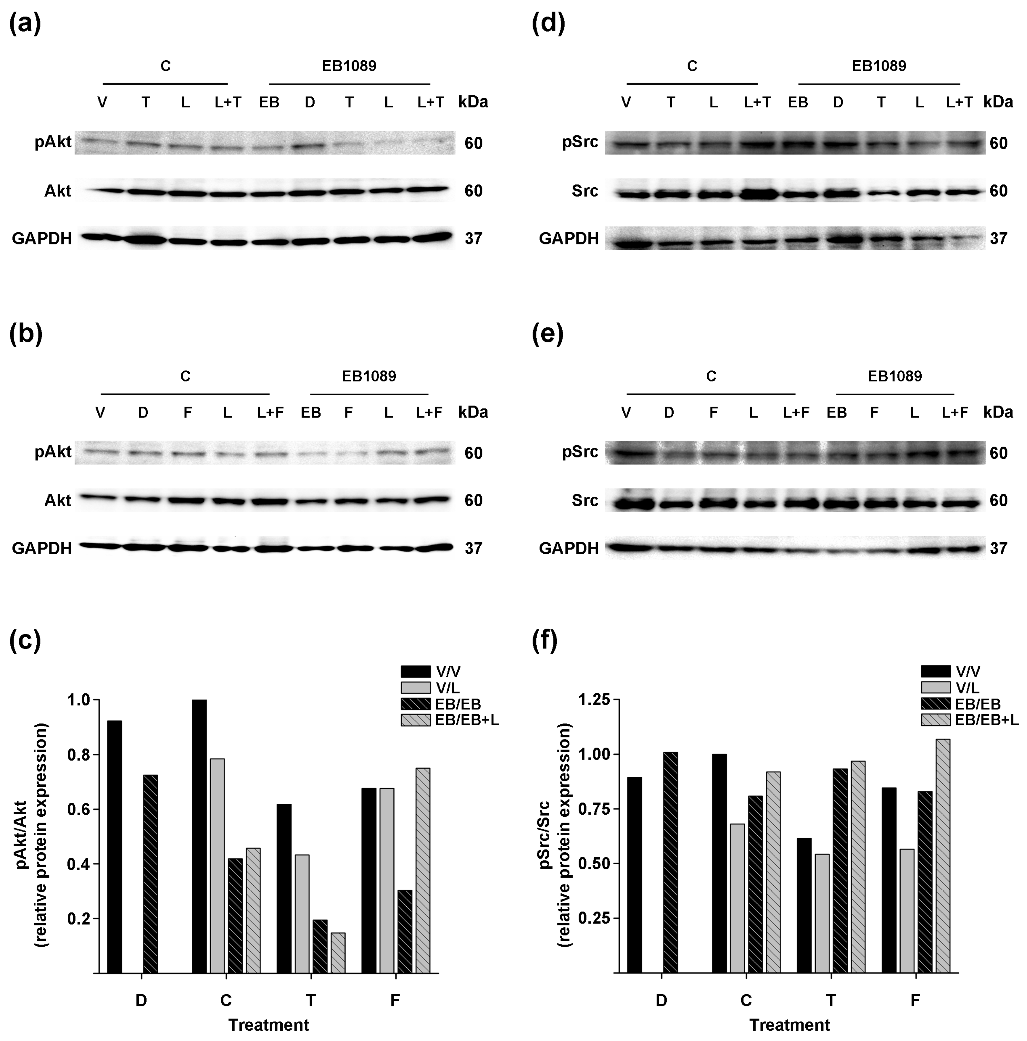 Ijms 25 03165 g006 Ijms 25 03165 g006
