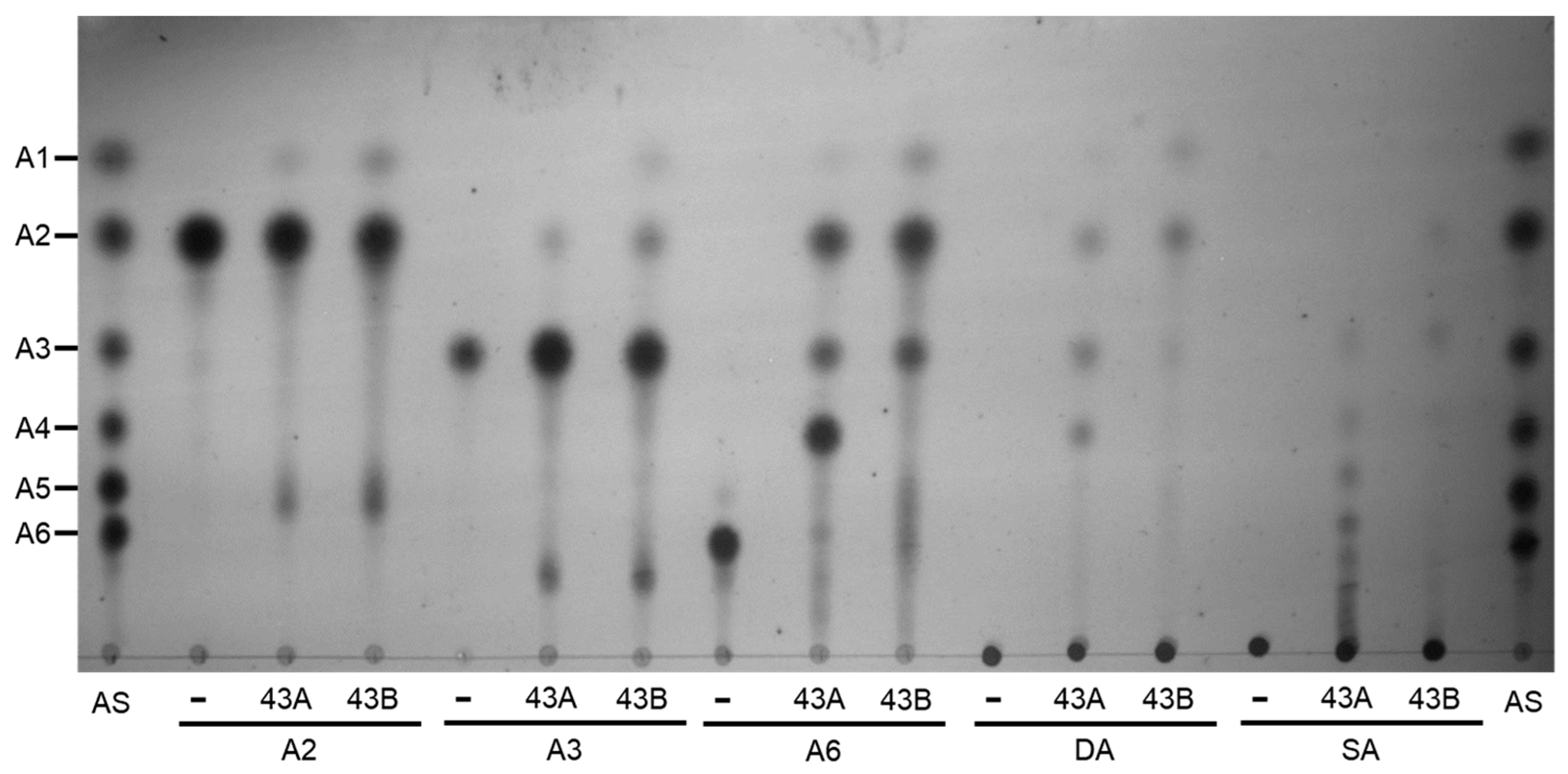 Ijms 25 03175 g007