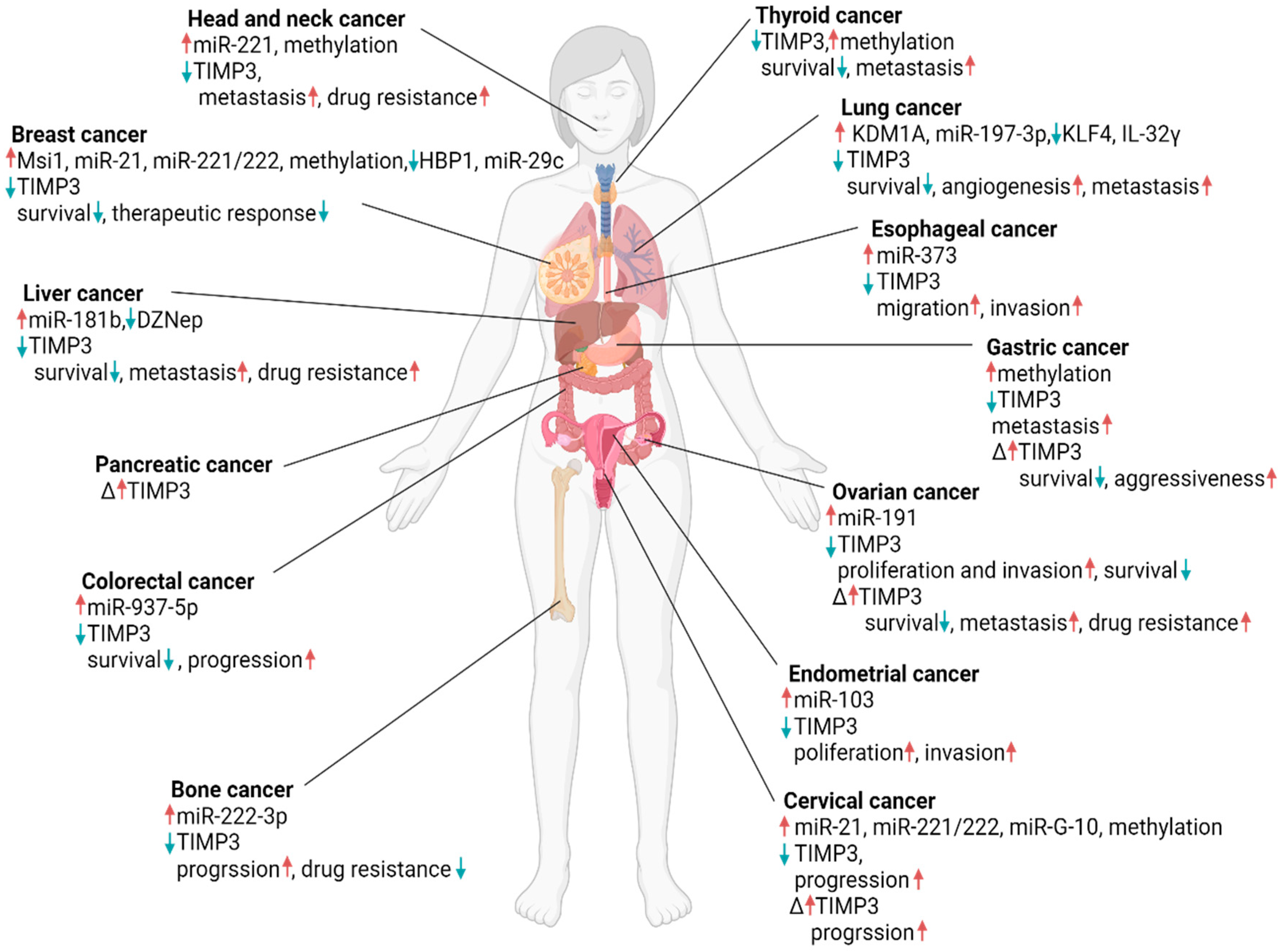 Ijms 25 03191 g001 Ijms 25 03191 g001