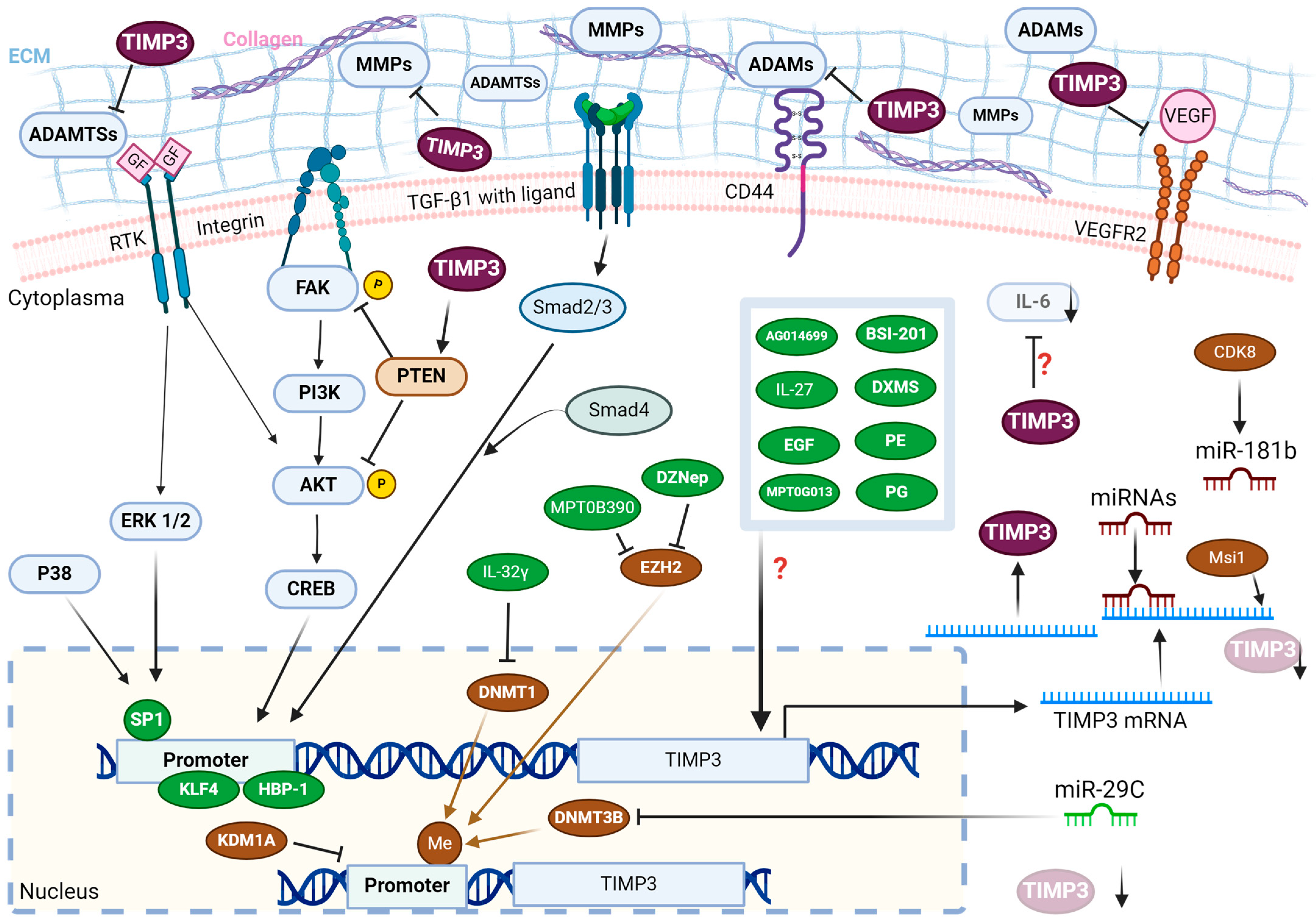 Ijms 25 03191 g002 Ijms 25 03191 g002