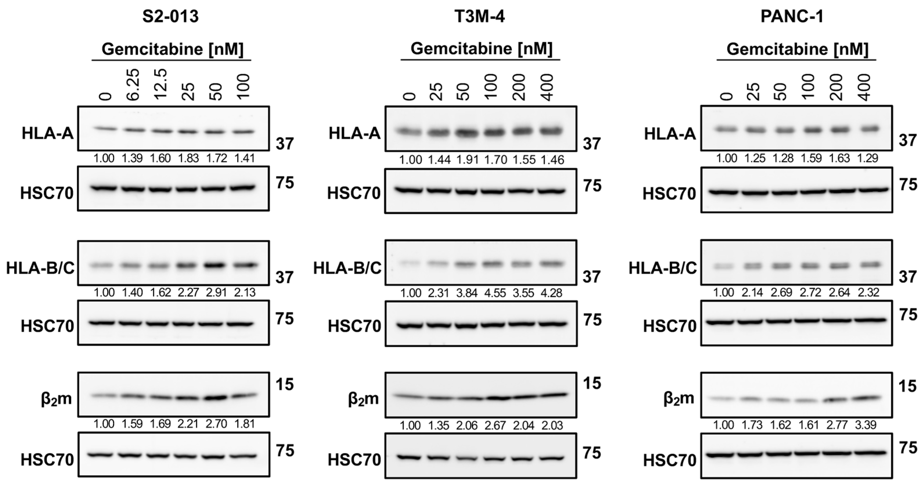 Ijms 25 03211 g003 Ijms 25 03211 g003