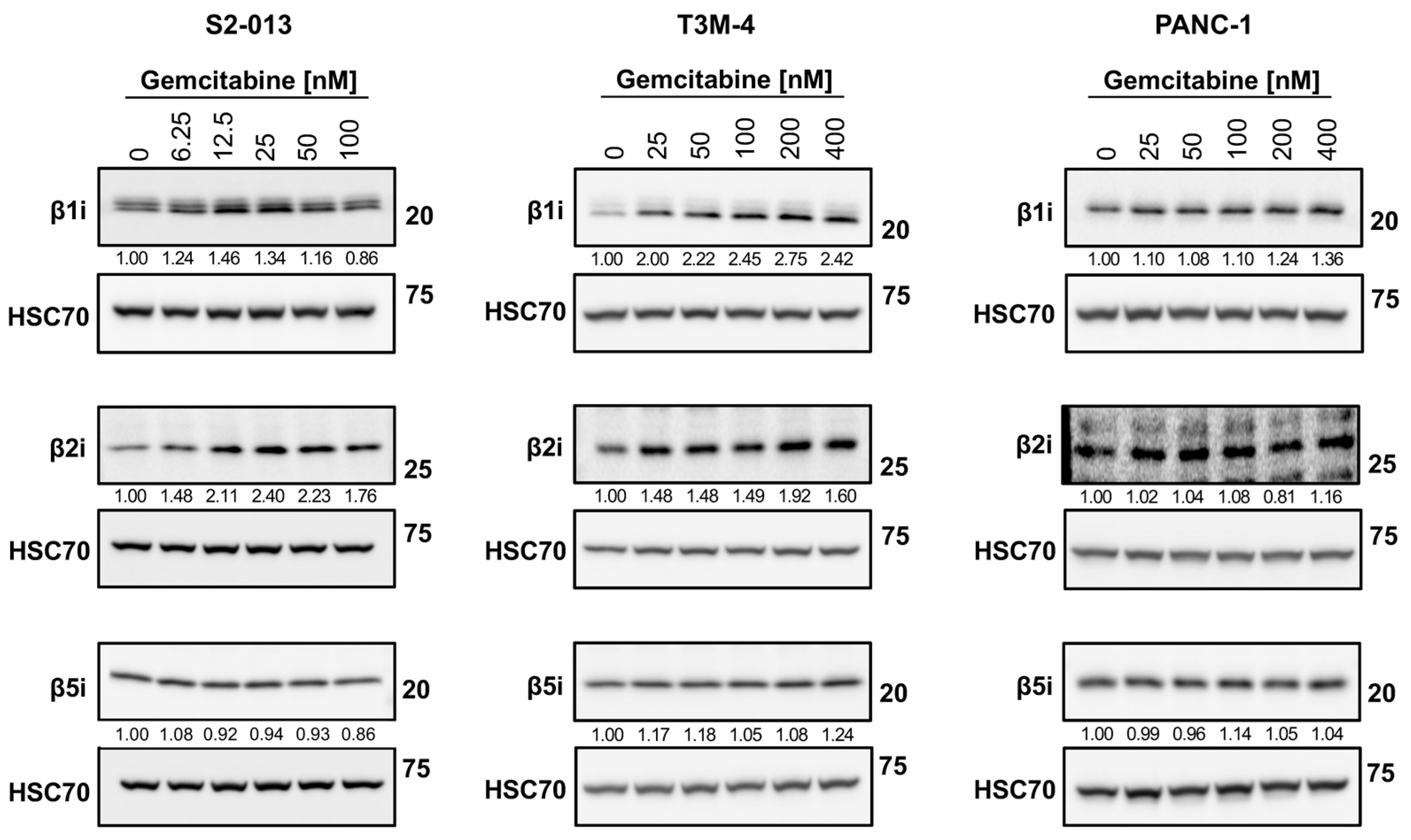 Ijms 25 03211 g010 Ijms 25 03211 g010