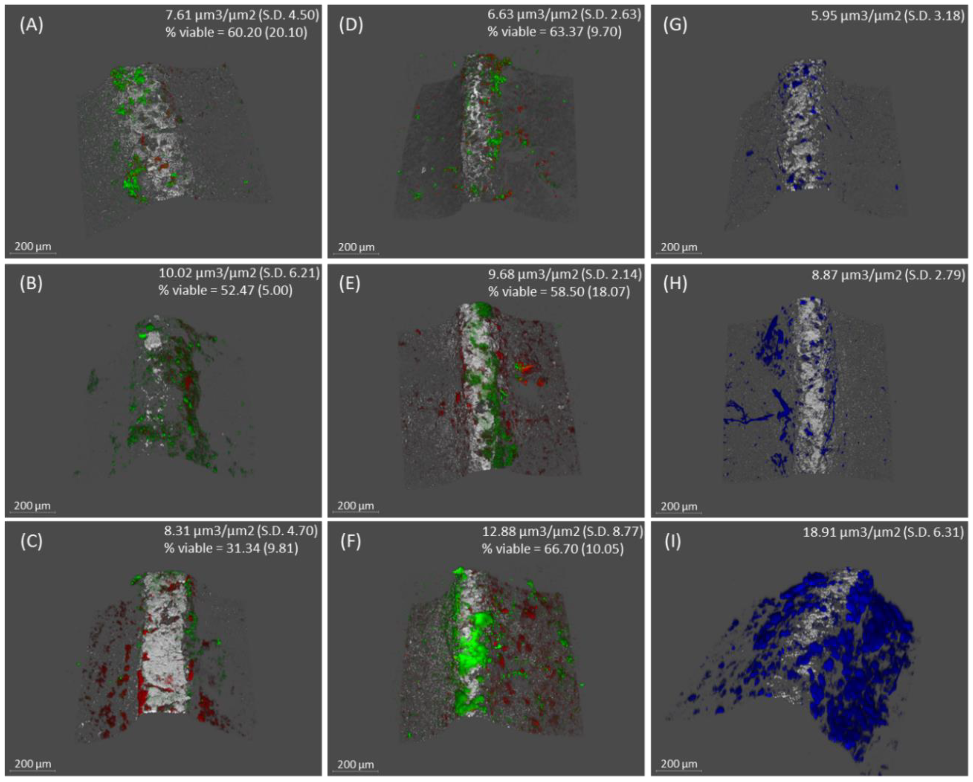 Ijms 25 03277 g002 Ijms 25 03277 g002