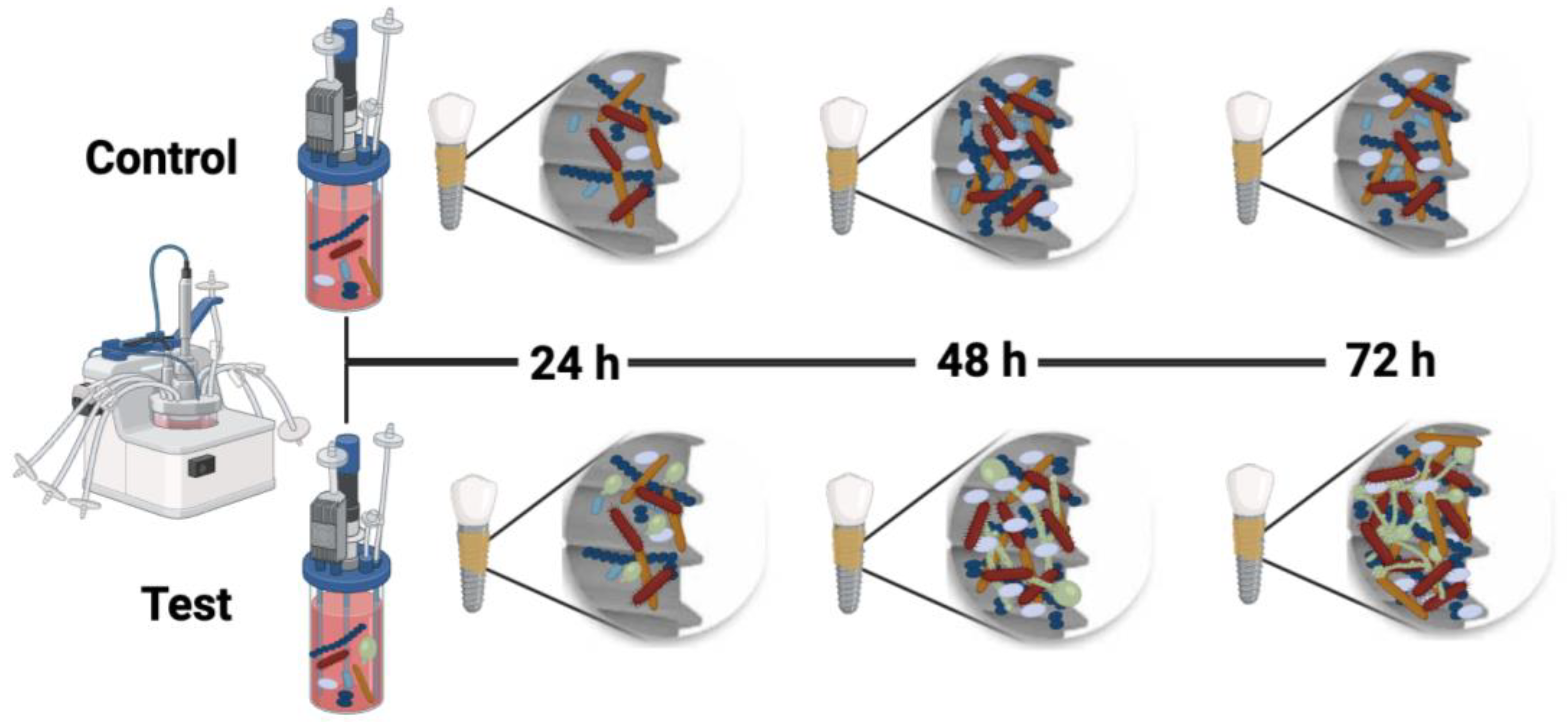 Ijms 25 03277 g005 Ijms 25 03277 g005