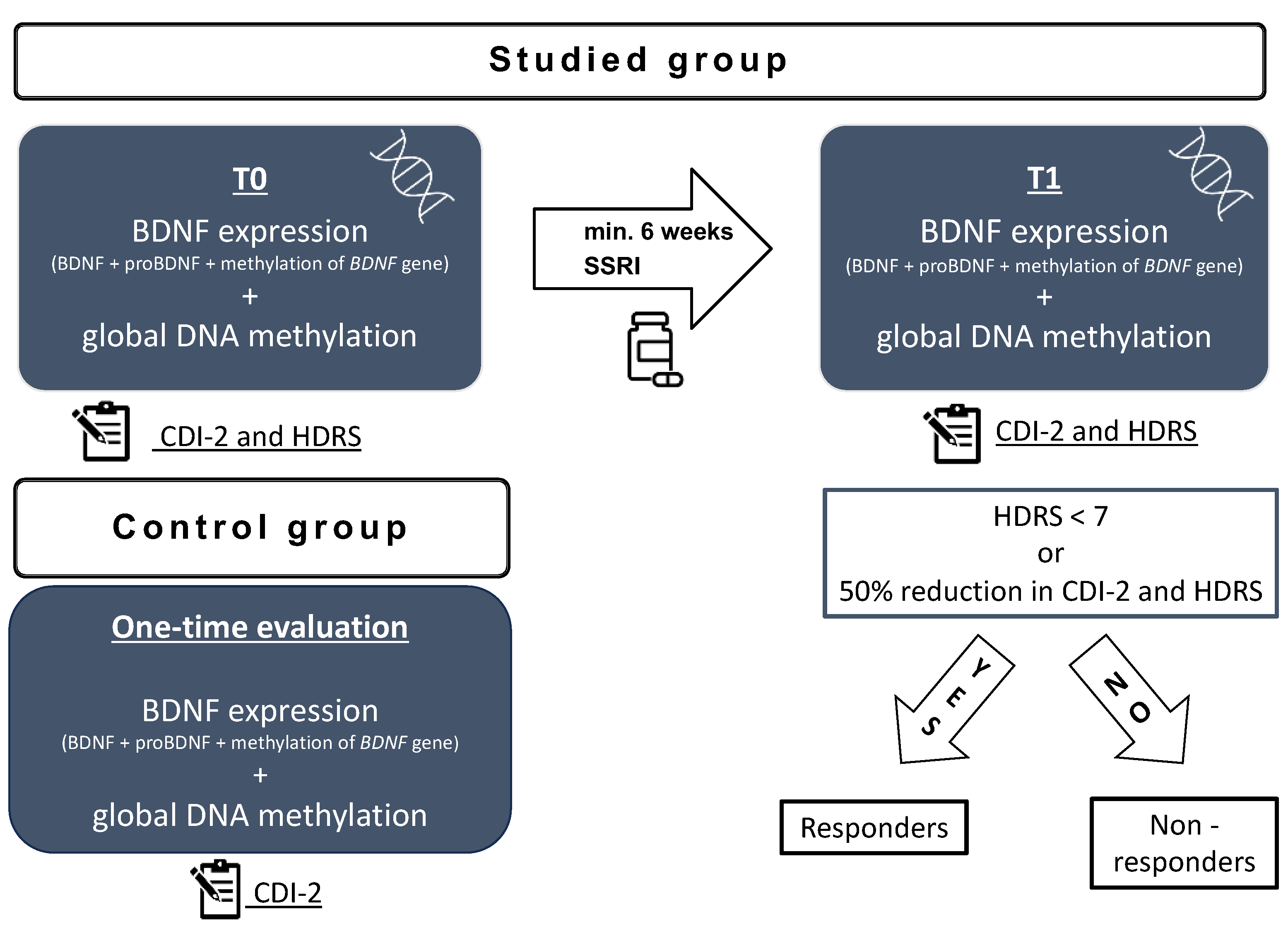 Ijms 25 03281 g005 Ijms 25 03281 g005