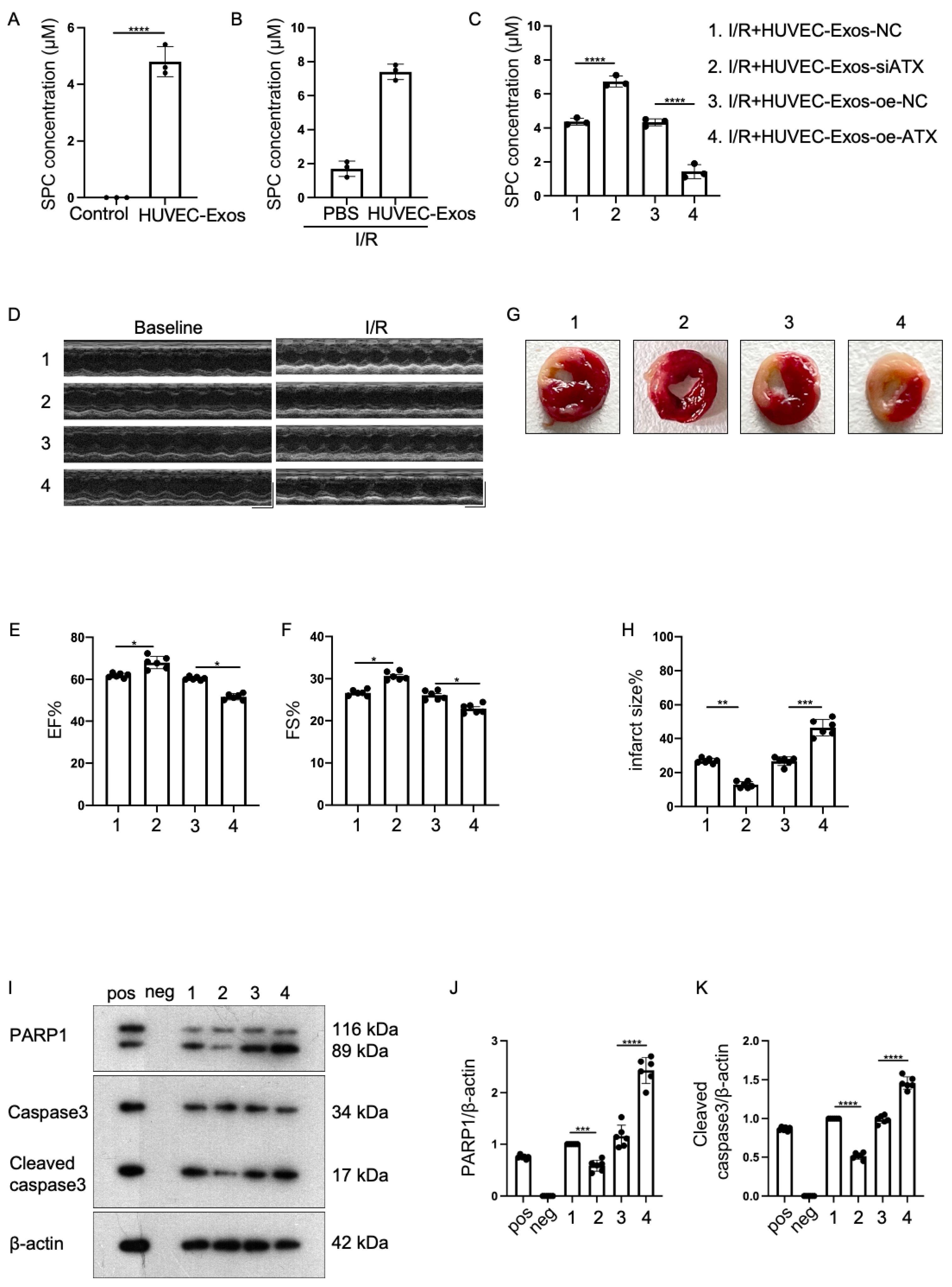 Ijms 25 03305 g003 Ijms 25 03305 g003