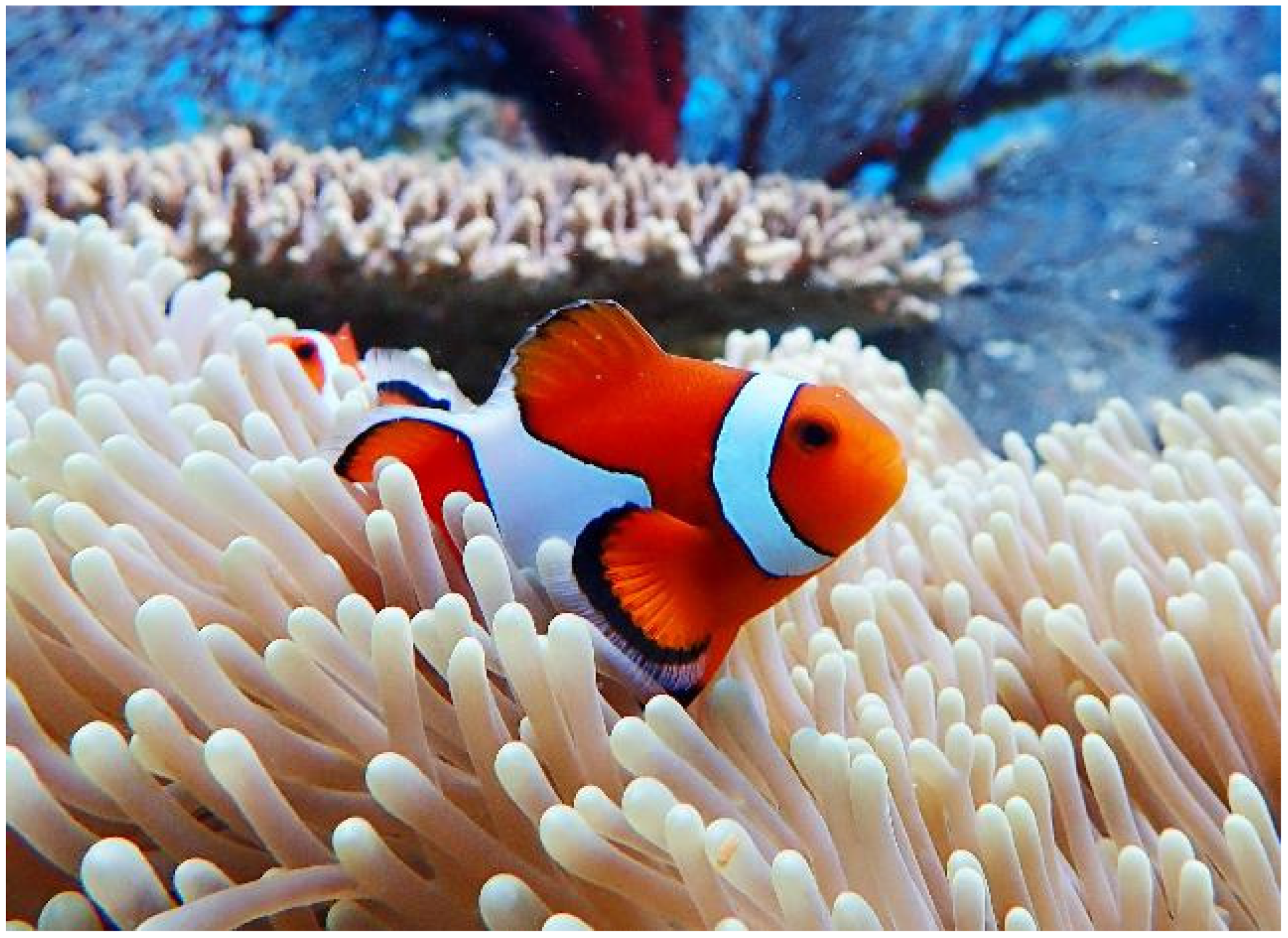 Ijms 25 03360 g002 Ijms 25 03360 g002