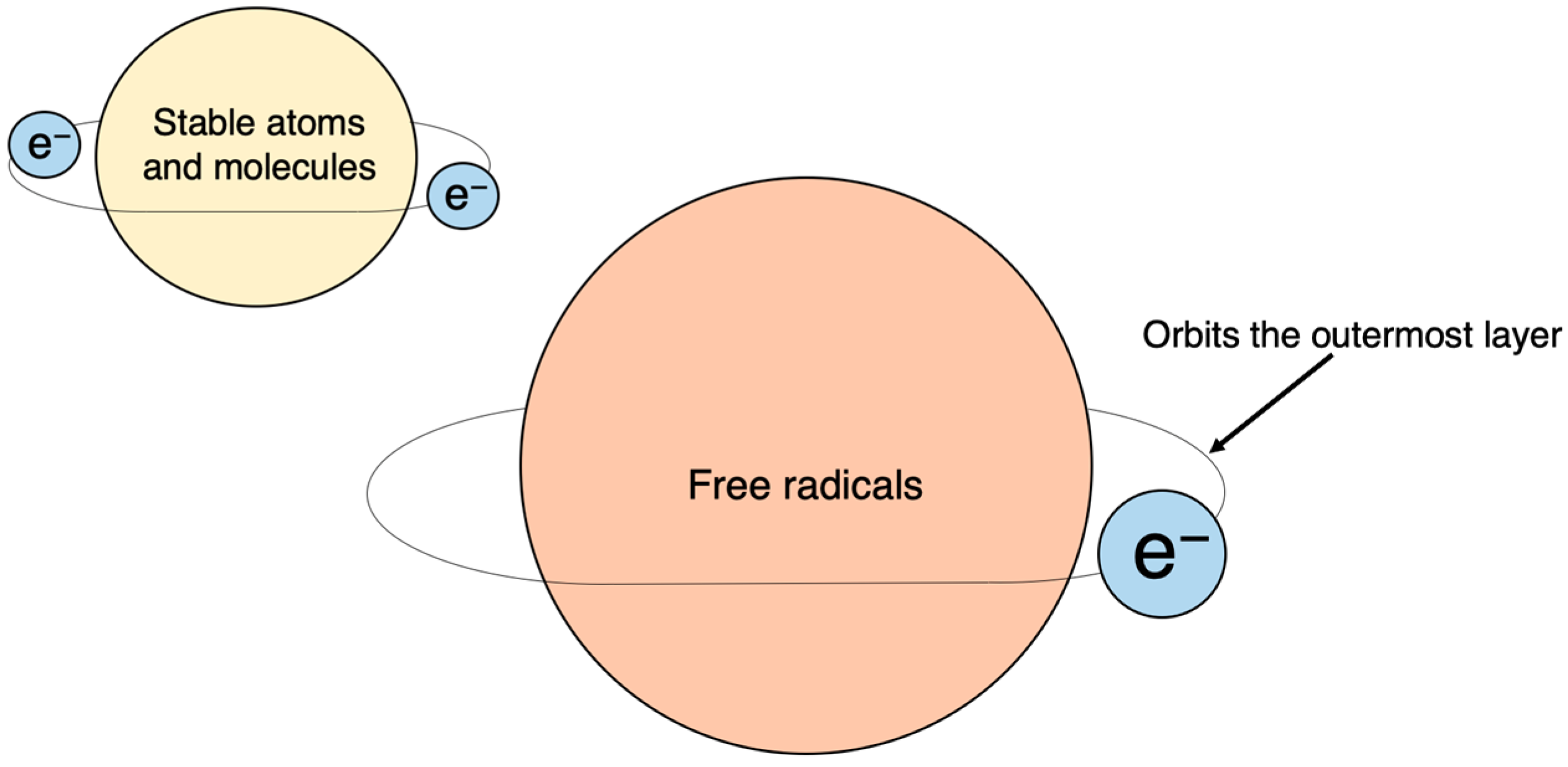 Ijms 25 03360 g004 Ijms 25 03360 g004