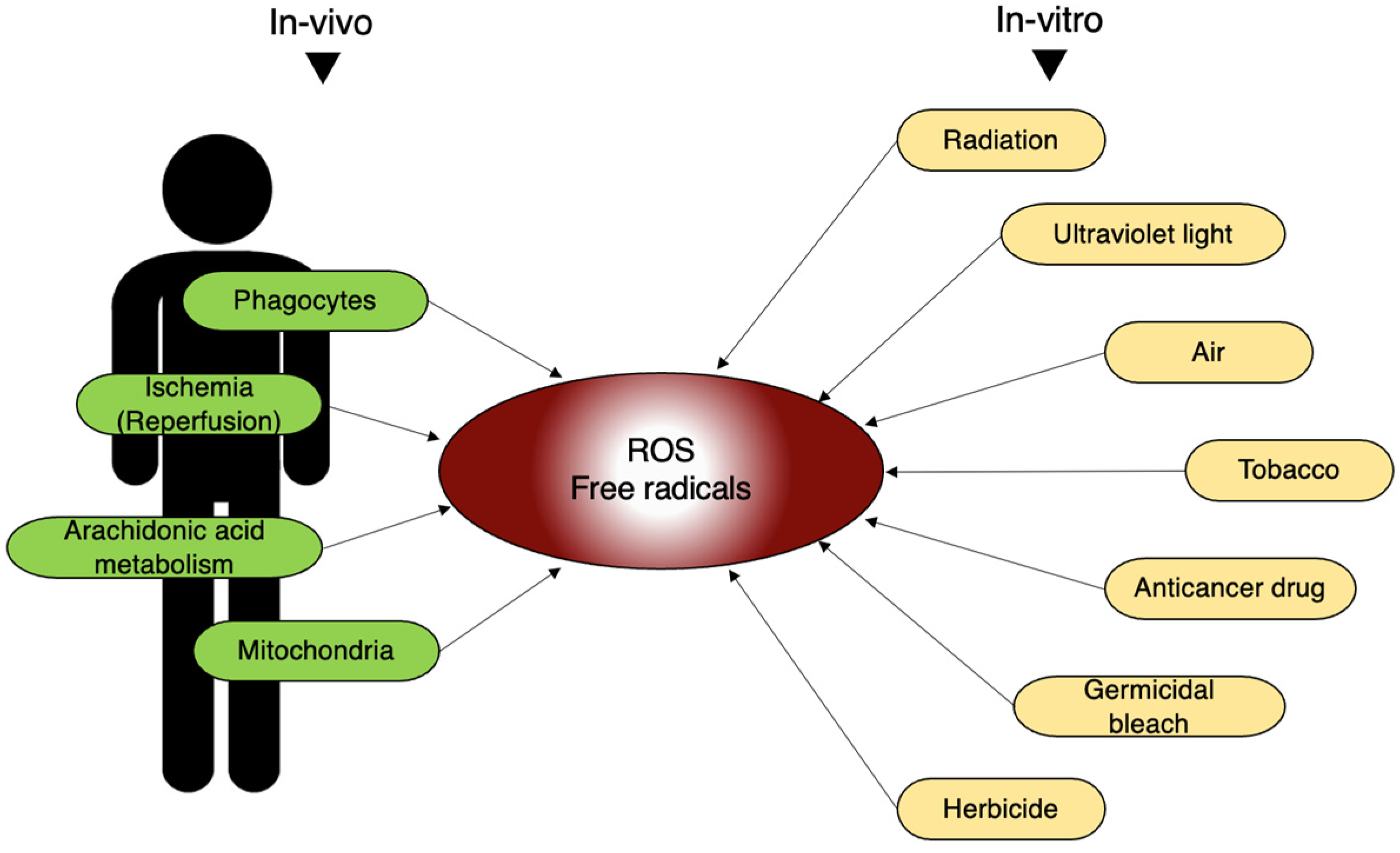 Ijms 25 03360 g006 Ijms 25 03360 g006