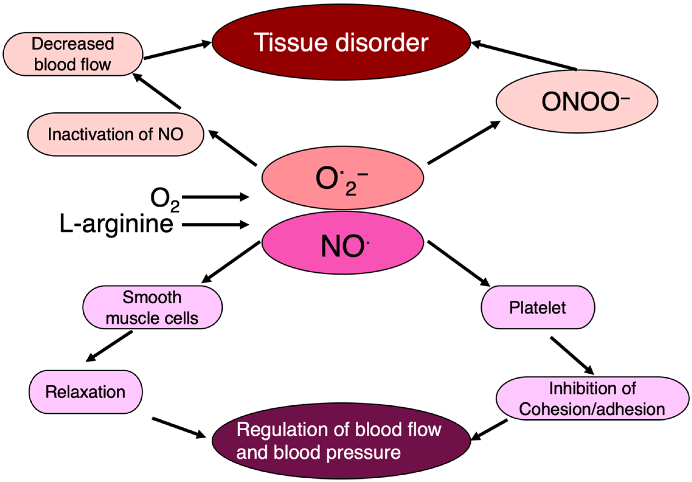 Ijms 25 03360 g007 Ijms 25 03360 g007
