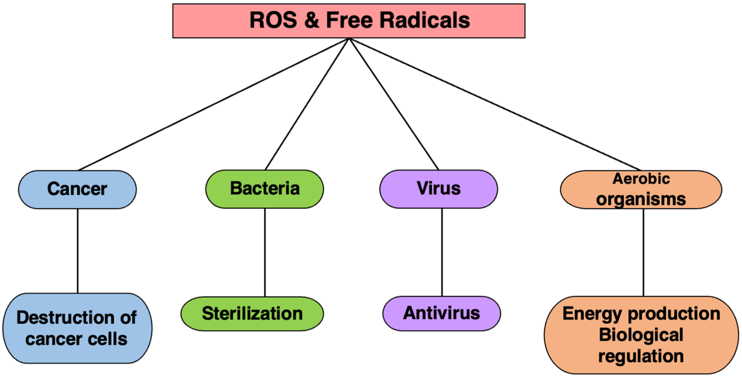 Ijms 25 03360 g008 Ijms 25 03360 g008