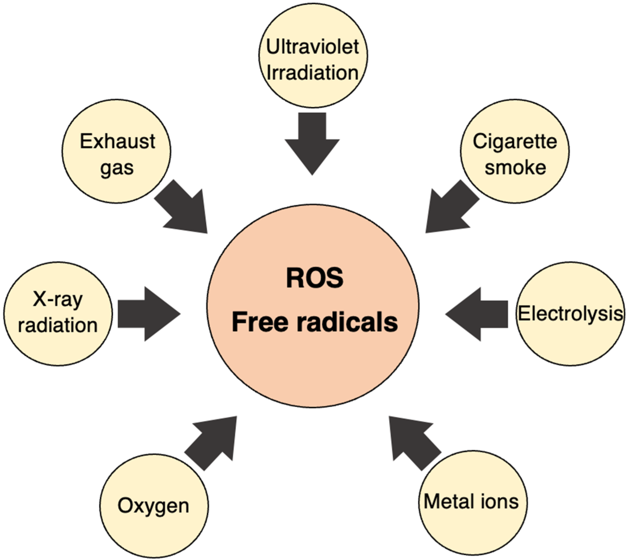 Ijms 25 03360 g009 Ijms 25 03360 g009