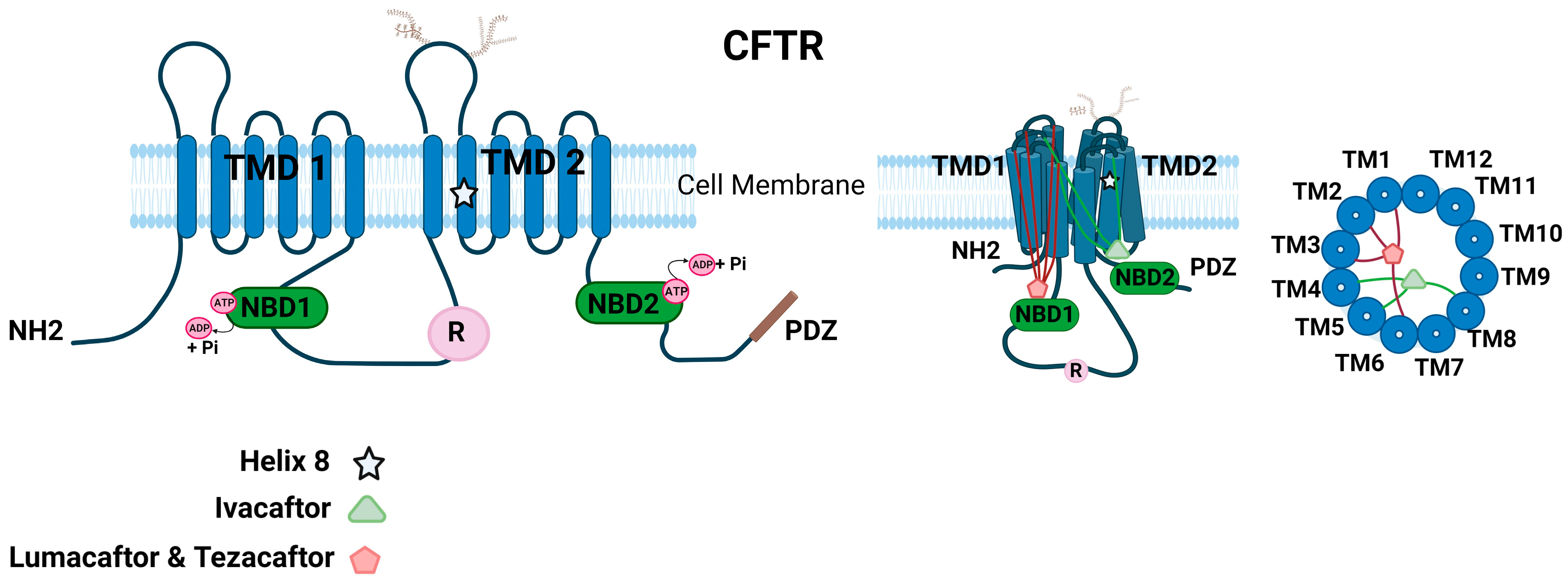 Ijms 25 03384 g002 Ijms 25 03384 g002