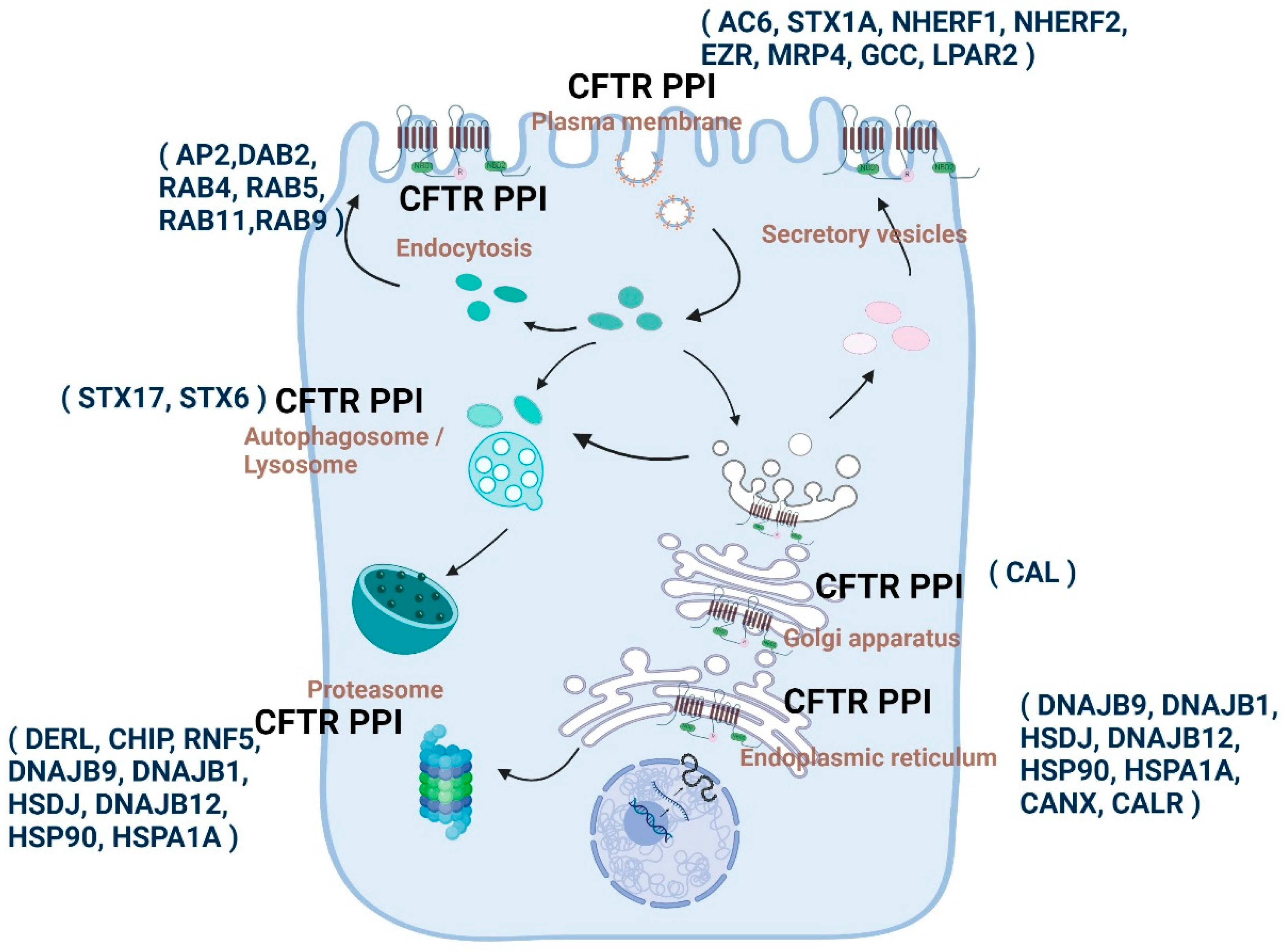 Ijms 25 03384 g003 Ijms 25 03384 g003