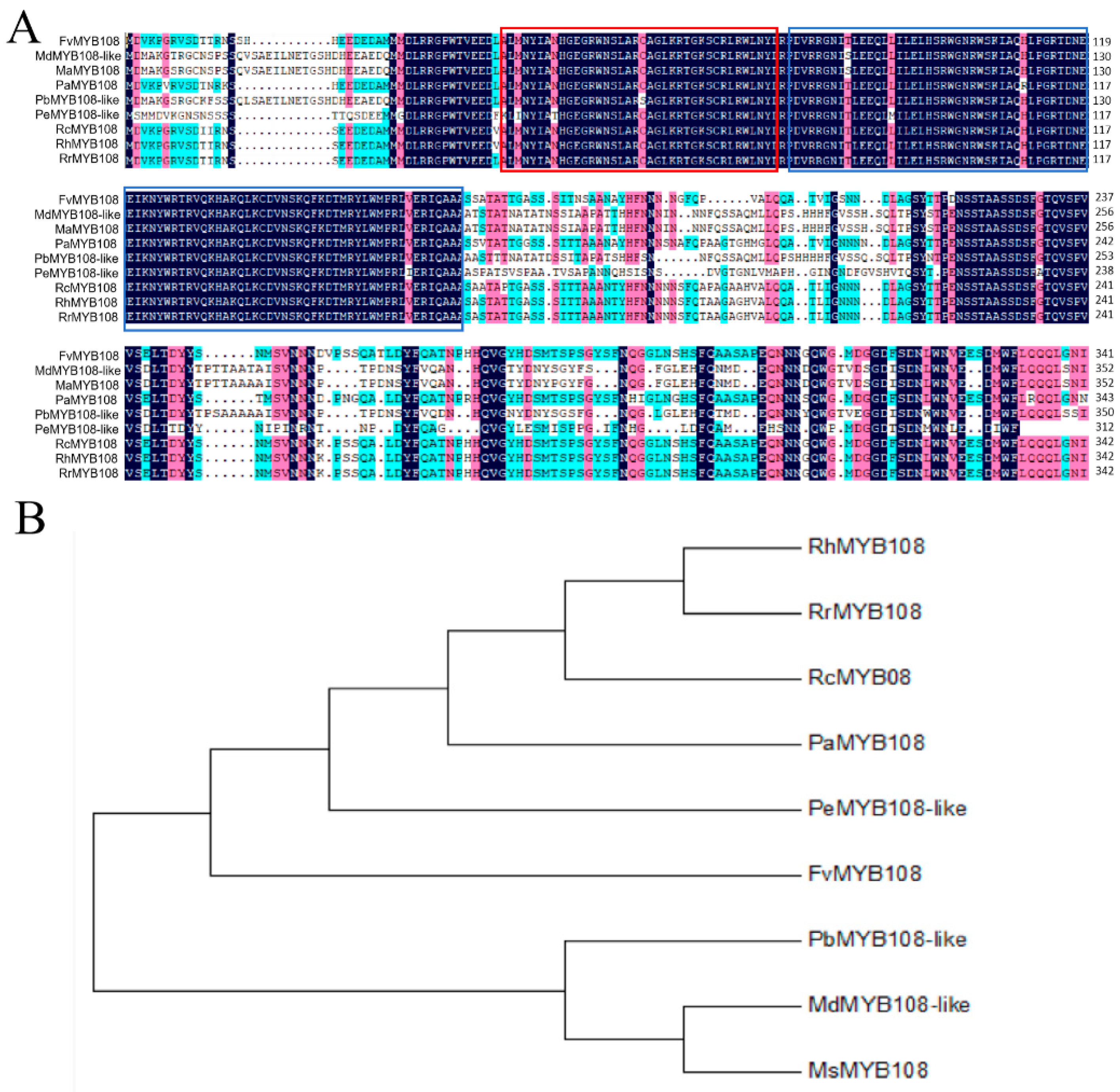 Ijms 25 03405 g001 Ijms 25 03405 g001