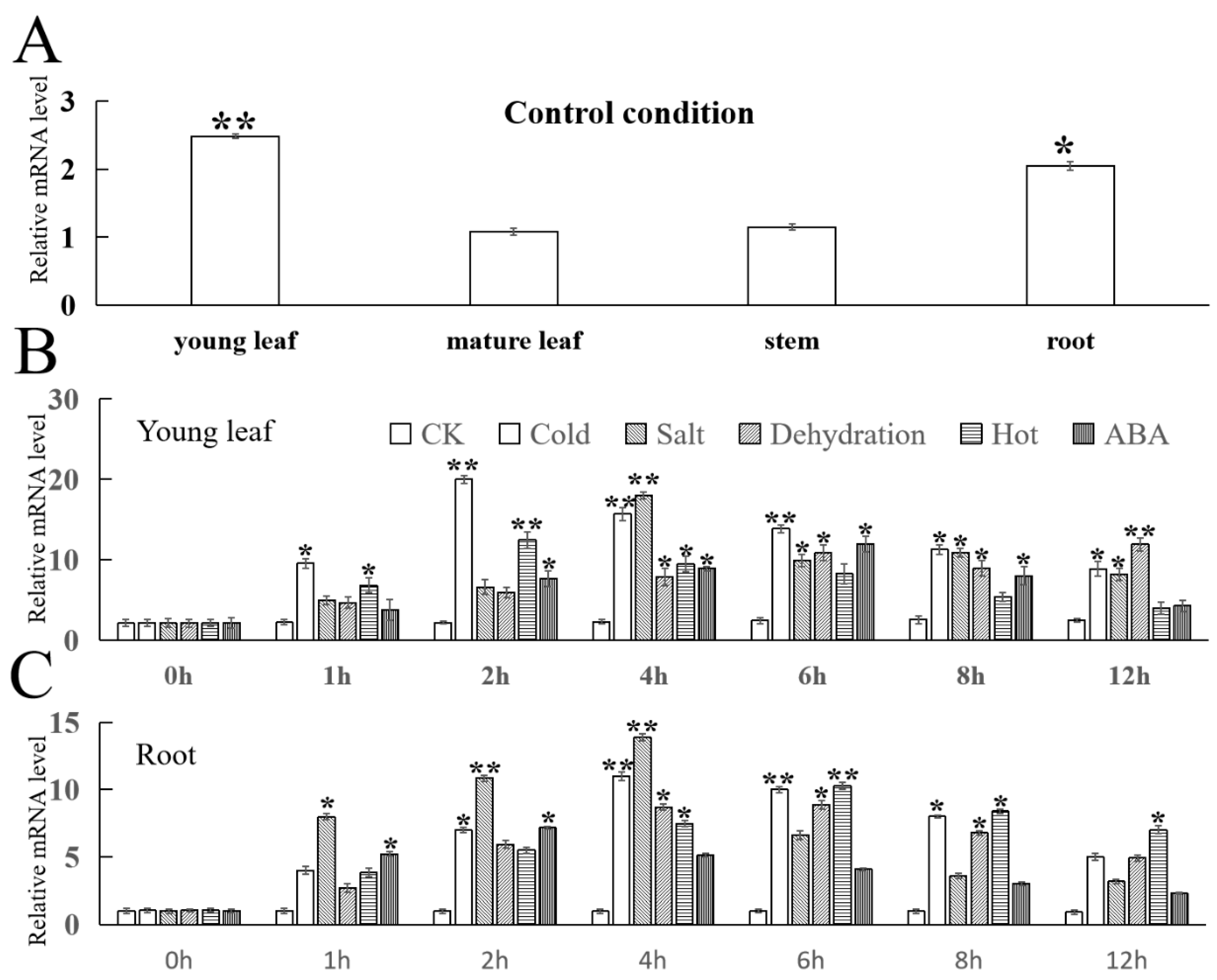 Ijms 25 03405 g004 Ijms 25 03405 g004