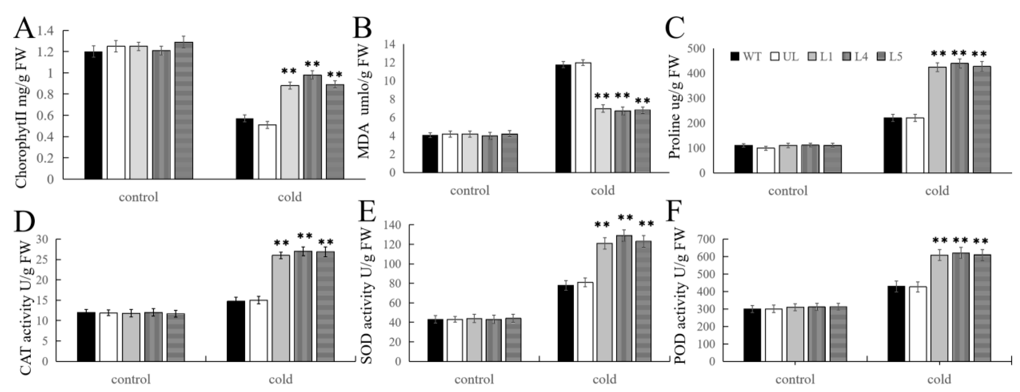Ijms 25 03405 g006 Ijms 25 03405 g006