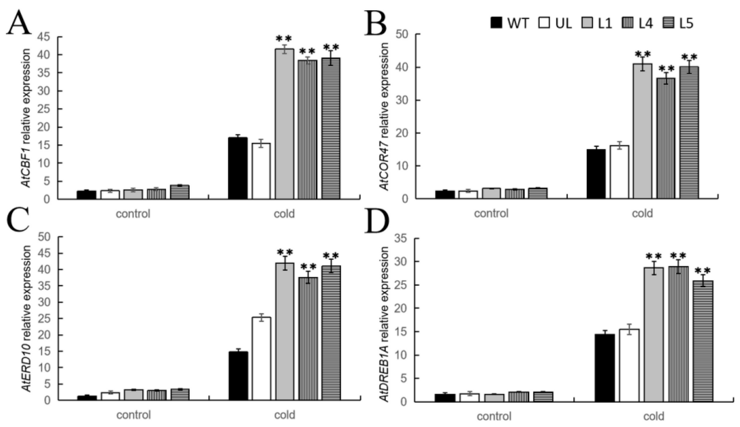 Ijms 25 03405 g007 Ijms 25 03405 g007