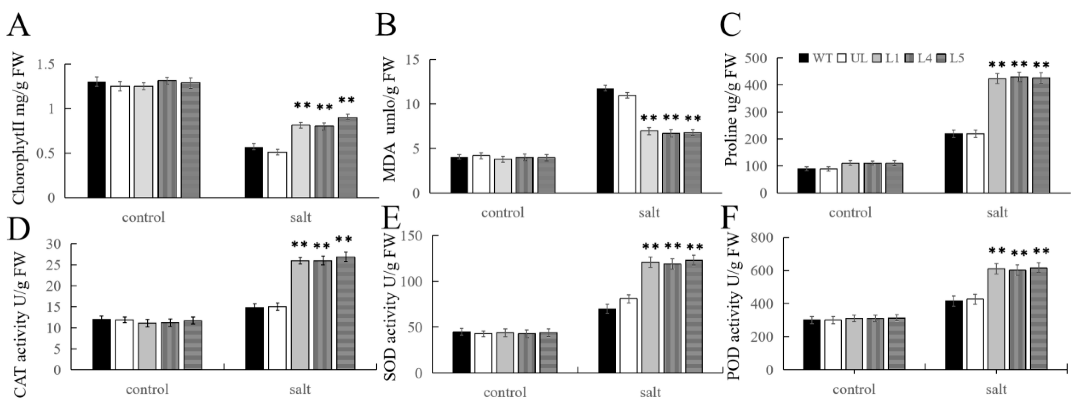 Ijms 25 03405 g009 Ijms 25 03405 g009