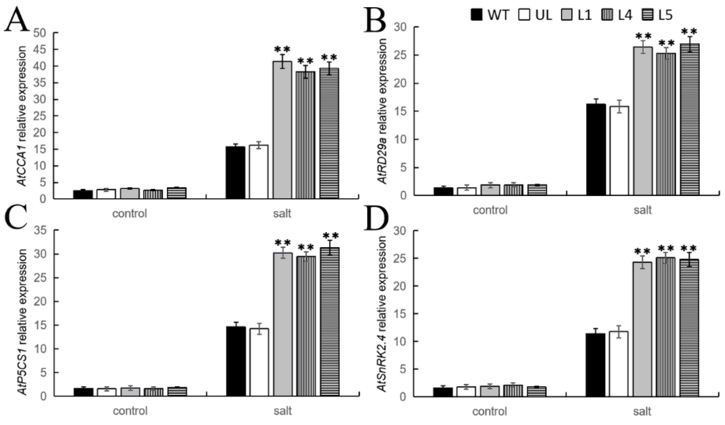 Ijms 25 03405 g010 Ijms 25 03405 g010